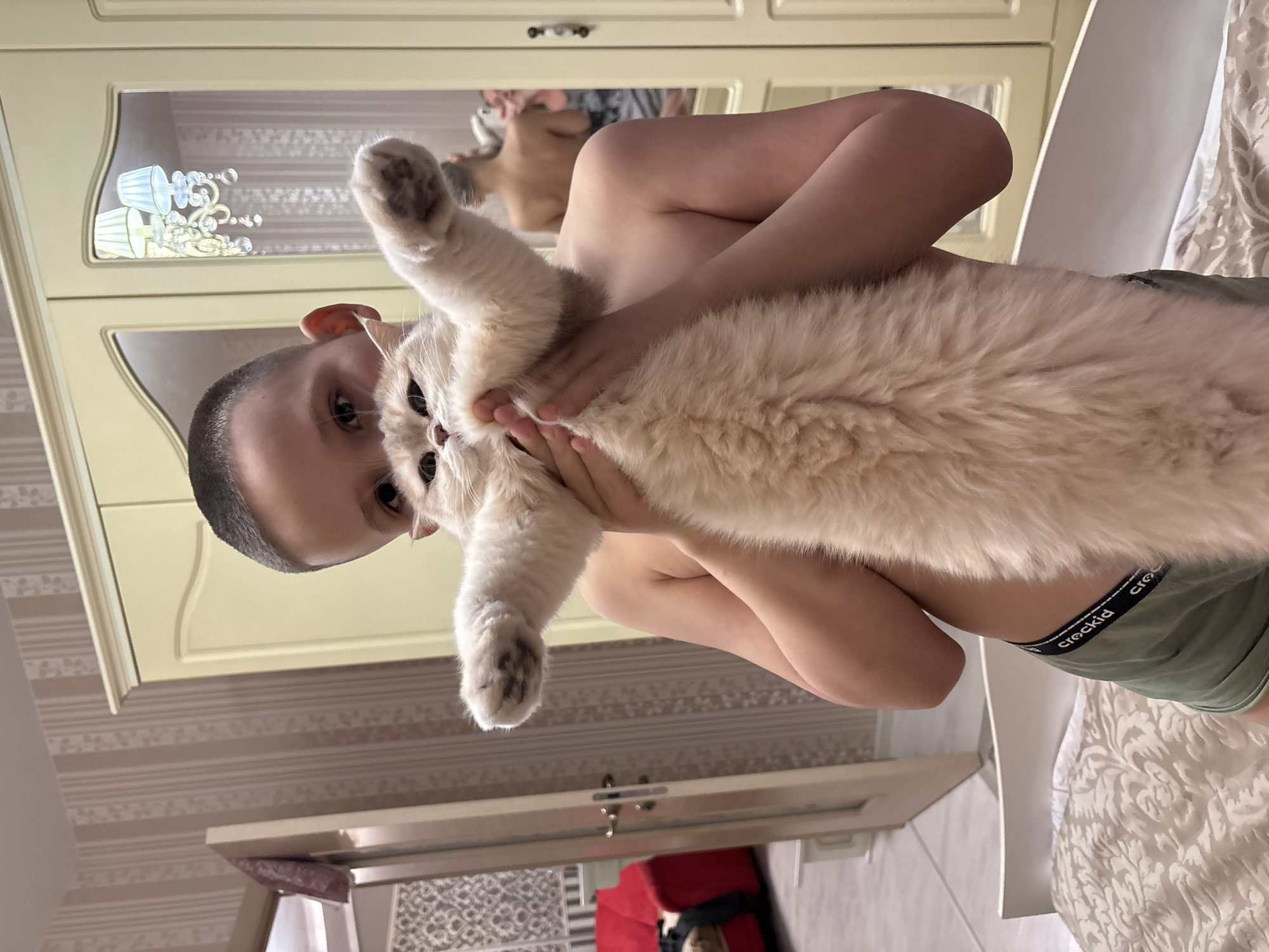 A child is holding a white cat up to the camera. The child is not wearing a shirt. The child is wearing underwear with the word "crockid" on the waistband. A reflection of a person is visible in a mirror behind the child. A piece of red furniture is visible near the bottom of the frame. The location is Chaikovsky, Russia.