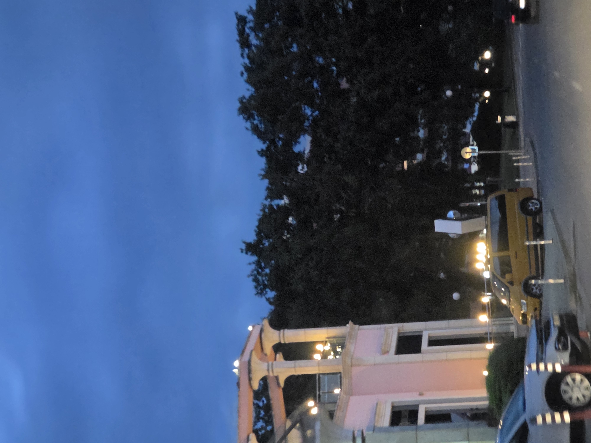 The image captures an outdoor scene at dusk, likely in Varna, Bulgaria, with a pink building on the left featuring a decorative, multi-tiered roof structure adorned with lights. Dark trees fill the background, with glimpses of the deep blue evening sky visible through them. In the foreground, a yellow van with illuminated lights on its roof is parked on a street. To the left of the van, a silver car is partially visible. Several streetlights and bollards are present, indicating a public area or street. The overall lighting suggests a low-light condition, common during twilight.