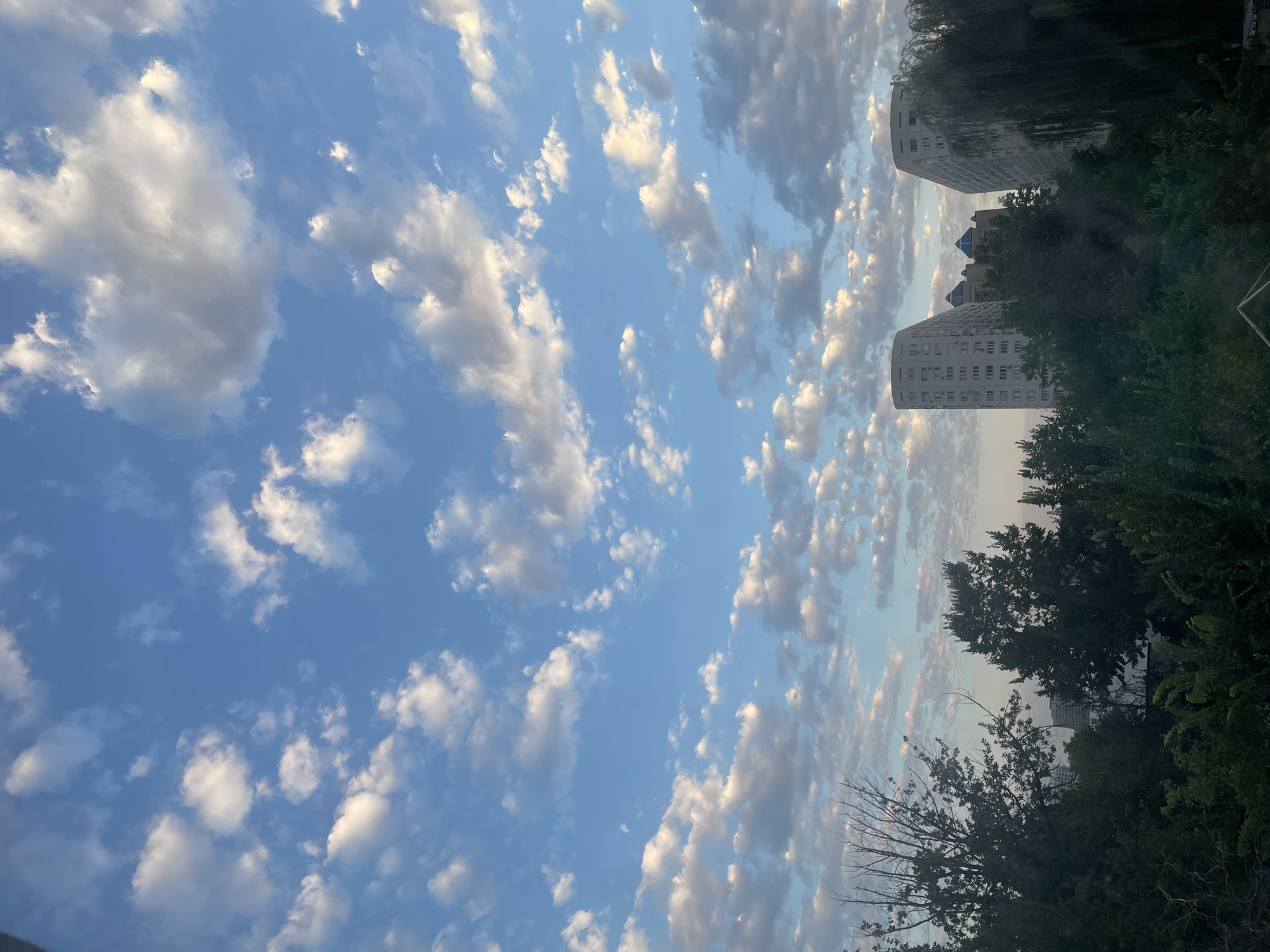 The image depicts a view of the sky and buildings in Almaty, Kazakhstan, likely during the morning or late afternoon due to the lighting. The sky is predominantly blue with scattered cumulus clouds, some of which are illuminated by sunlight, suggesting a partly cloudy day. In the mid-ground, two tall, modern apartment buildings with distinct curved facades are visible, characterized by multiple windows and balconies. Between them, a shorter building with a blue, pyramidal roof structure is partially obscured. The foreground is filled with dense, dark green foliage, consisting of trees and shrubs, which partially obscures the lower portions of the apartment buildings. The overall scene captures an urban landscape with a focus on the interplay between natural elements (sky, clouds, trees) and man-made structures.