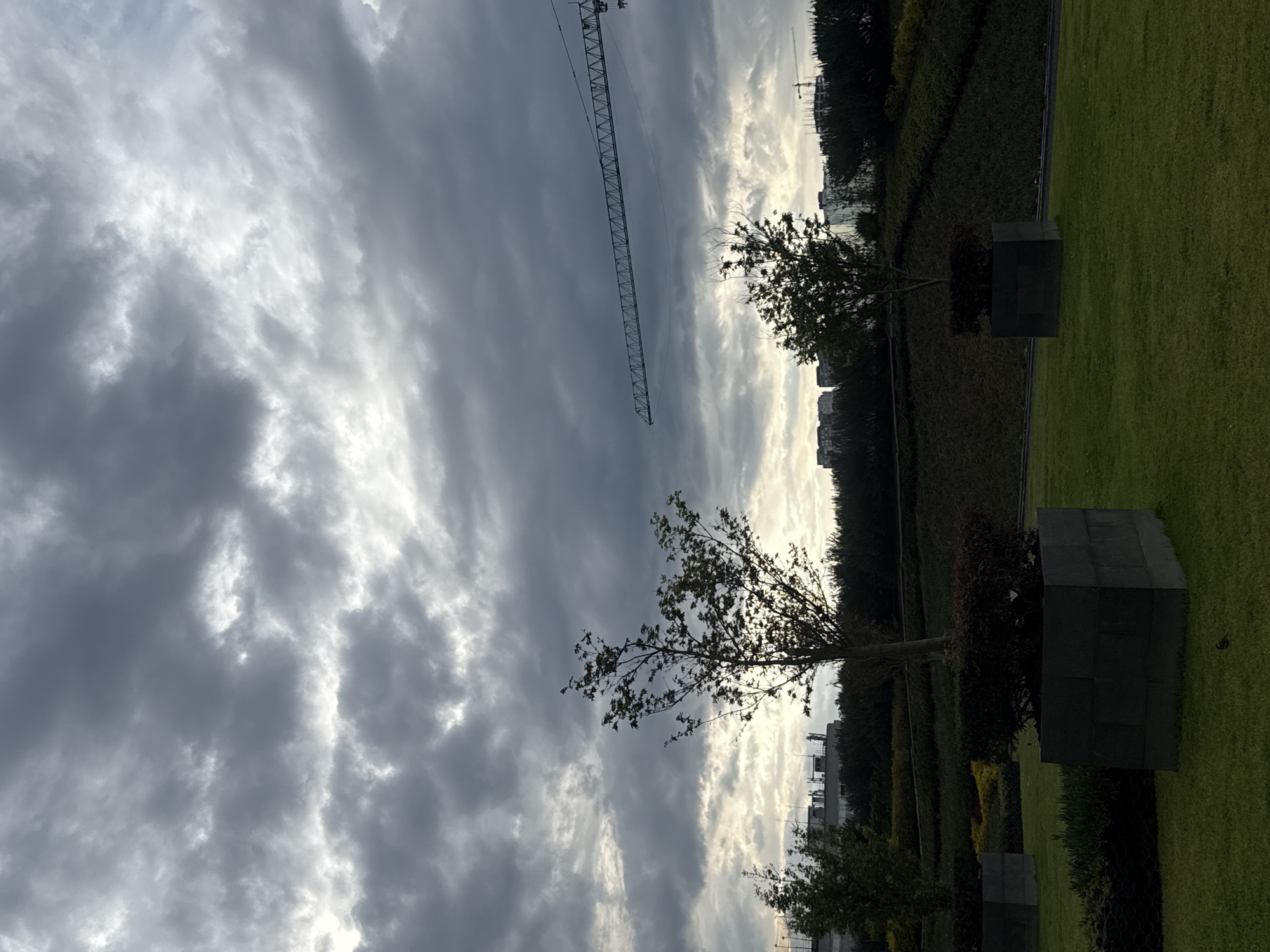 The image depicts a park setting in Mexico City, Mexico under an overcast sky. The sky features layers of gray and white clouds. A construction crane is visible in the distance. The foreground consists of a green lawn with trees planted in square concrete containers. The trees appear silhouetted against the bright sky. A row of shrubbery lines the edge of the lawn. Buildings can be seen in the background, partially obscured by the trees.