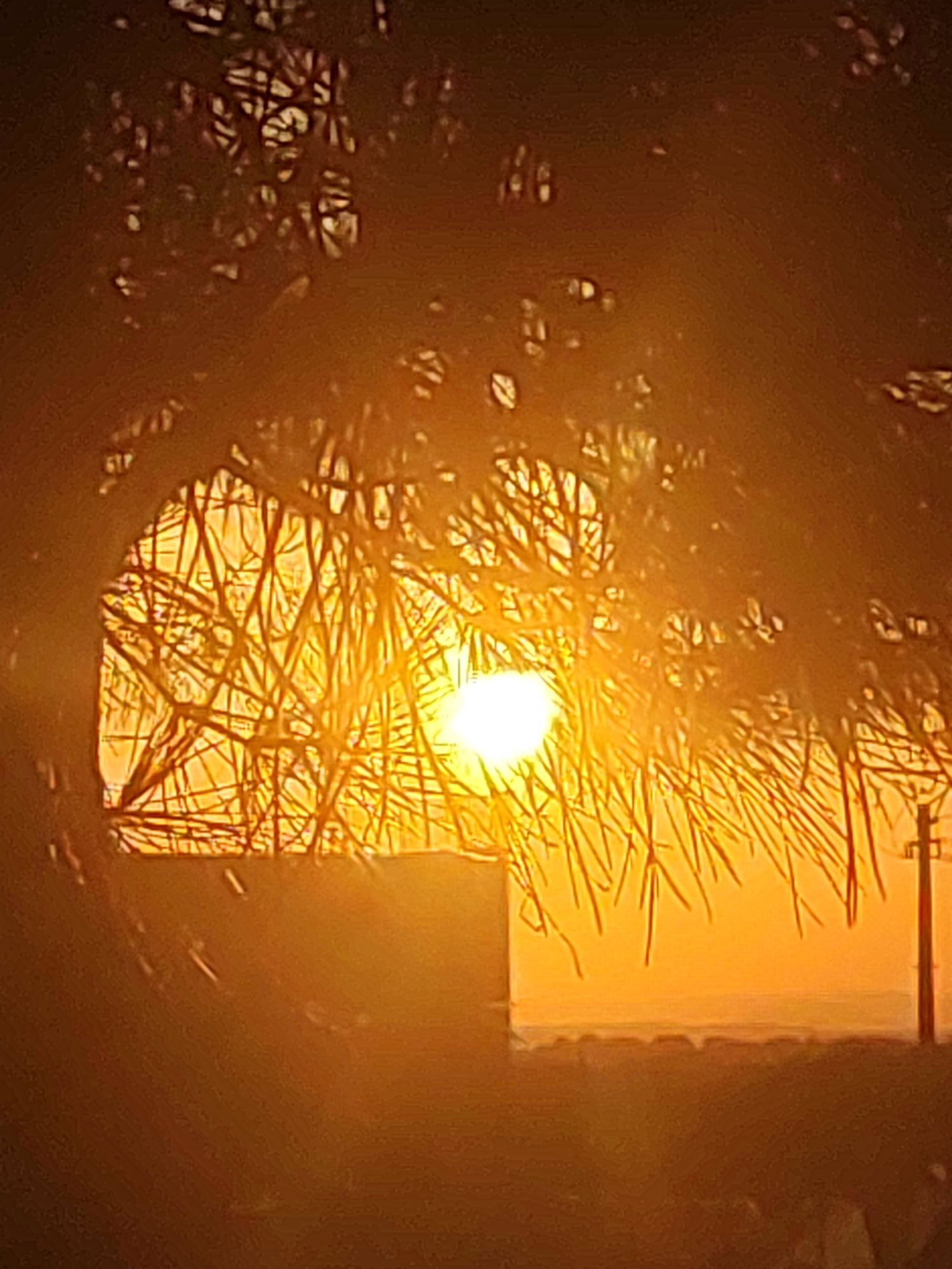 The image depicts a sunset in Sobradillo, Spain, viewed through the branches of a tree. The sun is a bright, glowing orb in the center-left of the frame, casting a warm, orange light over the entire scene. The tree branches are silhouetted against the sky, creating a natural frame for the sun. In the background, there is a hint of a building or structure, partially obscured by the sunlight. To the right, a utility pole with wires is visible, suggesting a rural or semi-rural setting within or near Sobradillo. The overall impression is one of a serene and picturesque sunset.