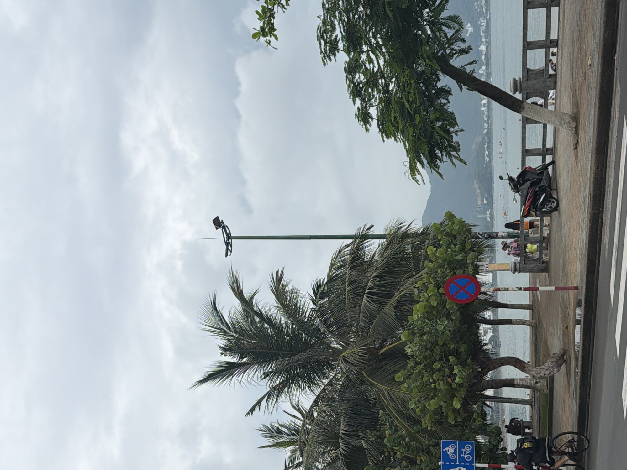 This image captures a vibrant coastal scene in Bac Nha Trang Ward, Vietnam, under an overcast sky. The perspective looks towards a body of water, likely the sea, with distant mountains and a city shoreline visible across it.
In the foreground, a paved road with a white zebra crossing runs along the right side of the frame. It is bordered by a concrete sidewalk or promenade, separated from the water by a low concrete railing. A variety of tropical trees, including several palm trees with their distinctive fronds and other dense green foliage, line the promenade. One tree trunk near the water's edge has a white painted section at its base.
A tall, green streetlight pole with a light fixture at its top rises prominently towards the left of the image. On the sidewalk, a red and black motorcycle is parked near a tree. A bicycle is partially visible at the bottom right corner. Scattered along the promenade and by the water, a few small figures of people can be discerned, though their activities are indistinct.
Two signs are visible: a red circular sign with a blue 'X', universally recognized as a "no stopping" or "no parking" symbol, is placed among the trees. At the very bottom right, a blue rectangular sign featuring white bicycle icons indicates a dedicated bicycle path or parking area. The cloudy conditions suggest a daytime scene with soft, diffused light. No explicit text is clearly visible on the signs, only symbols.
