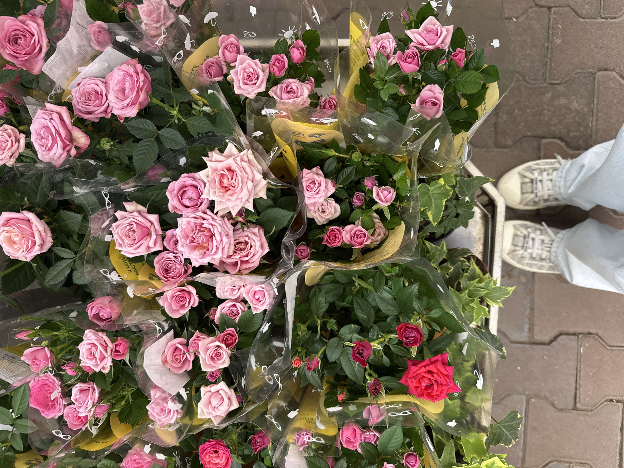 A top-down, full-frame shot captures an outdoor market stall in Yekaterinburg, Russia, filled with numerous potted rose plants. The roses are predominantly in various shades of pink, with a few darker red specimens visible. Each plant is encased in clear plastic packaging, and many feature bright yellow informational tags. The stall is set up on a paved walkway constructed from reddish-brown interlocking bricks. In the foreground, a pair of white sneakers and light-wash jeans suggests a person is standing and looking down at the merchandise. The scene is well-lit, indicating daytime.