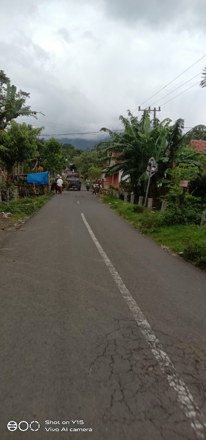 The image depicts a rural or semi-rural road scene in Ranugedang, Indonesia, under an overcast sky. The asphalt road, exhibiting cracks and a faded white dashed center line, extends from the foreground into the distance, ascending towards distant hills or mountains partially obscured by mist.
On the left side of the road, several individuals are present. One person on a white scooter, facing the camera, appears to be stopped or moving slowly, with bundles of yellow produce (possibly corn or bananas) strapped to the back. Adjacent to this, a blue Mitsubishi pick-up truck, dark in color, is visible, facing away from the camera. Further left, a group of three or four individuals stand near a makeshift structure with a blue tarp. Piles of yellow produce are also visible along the left road edge, adjacent to dense green foliage and wooden posts.
On the right side of the road, a concrete barrier or fence line runs along the edge, bordered by abundant green vegetation, including large banana trees. A residential building with a red-tiled roof is partially visible behind the foliage. Further down the road on the right, another individual on a motorcycle or scooter is visible, also near piles of yellow produce. A utility pole with overhead wires is present on the right, and a white sign with dark markings, along with a small wooden sign with red text, are partially visible amidst the greenery. The general environment suggests a community surrounded by lush tropical vegetation, with agricultural products being transported or sold.
