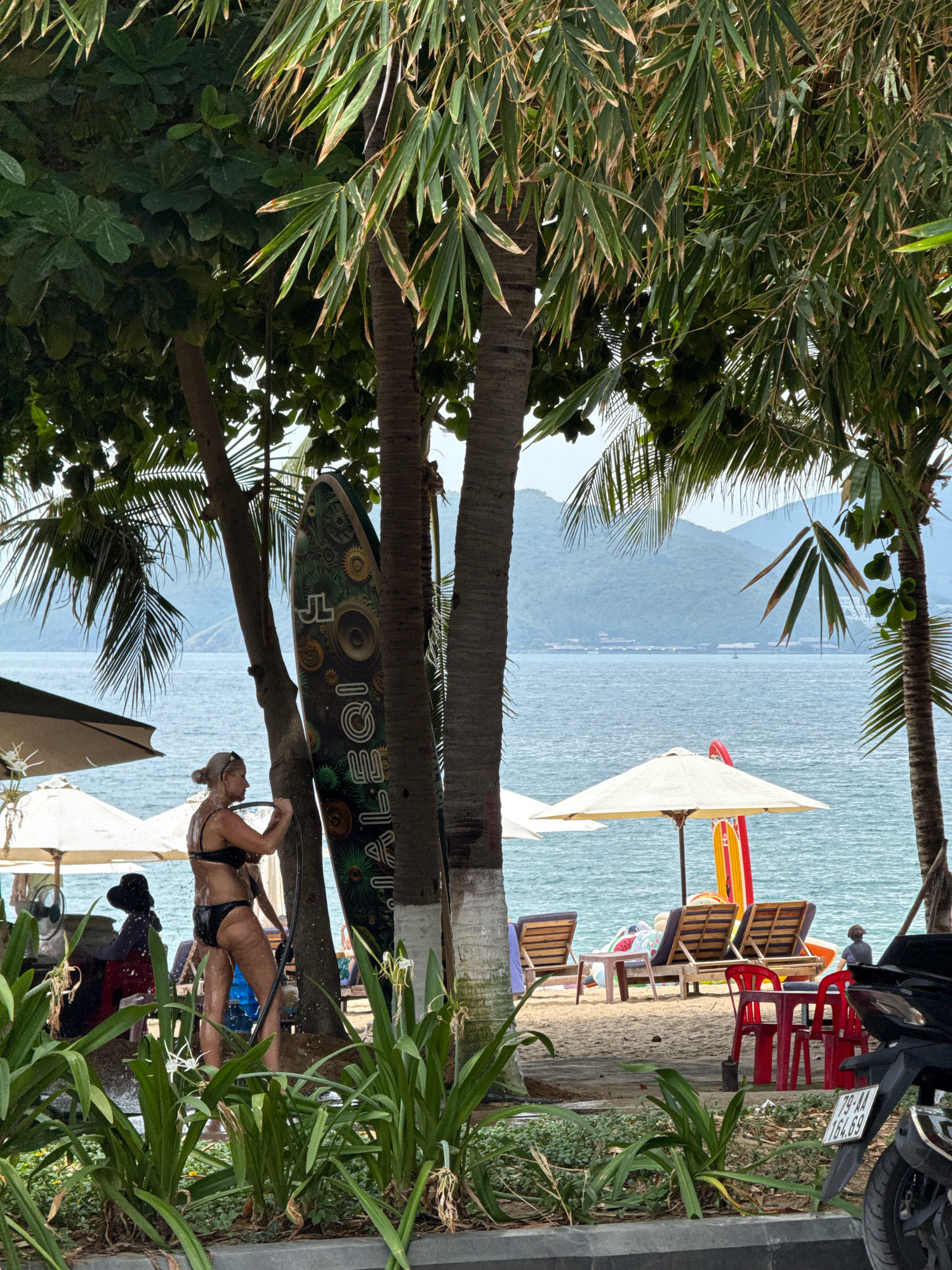 In Nha Trang, Vietnam, a woman in a black bikini stands outdoors, appearing to shower with a handheld spray from a hose, as water droplets are visible on her skin and surrounding surfaces. She is positioned near several palm trees, with a decorative surfboard leaning against one. In the background, the ocean stretches towards a distant, hazy coastline with islands and hills. The beach area features lounge chairs, umbrellas, and small tables. In the foreground, lush green plants and foliage are present. A motorcycle license plate is visible in the lower right corner.