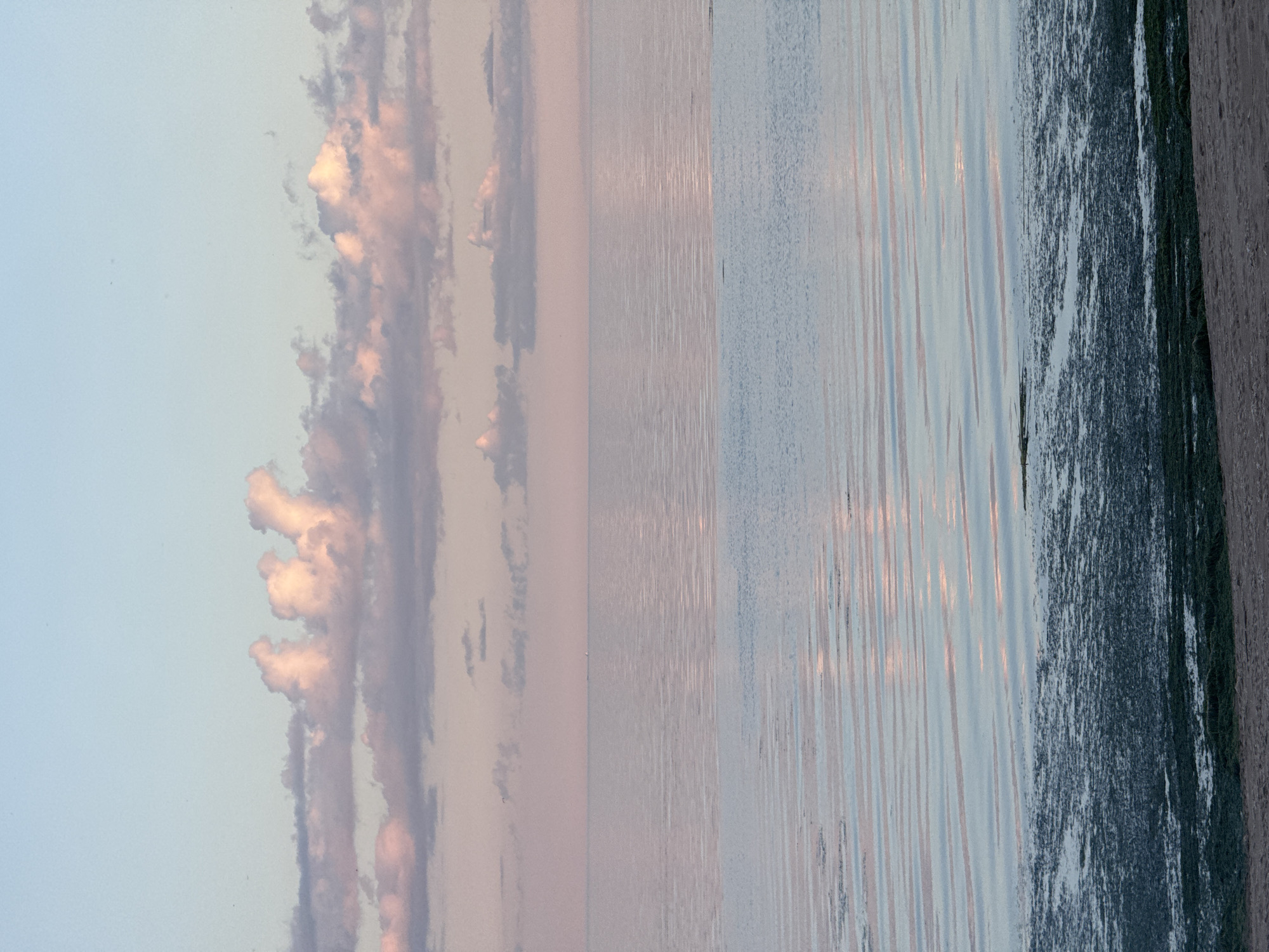 The image depicts a serene seascape at sunset. The sky is a gradient of pale blue at the top, transitioning to soft pinks and lavenders near the horizon, painted with scattered, fluffy clouds tinged with pink and white. Below the sky, the calm sea stretches out, reflecting the colors of the sky and clouds. The water exhibits gentle ripples, creating streaks of light and shadow. In the foreground, a strip of beach is visible, covered with dark green seaweed and sand. The overall atmosphere is peaceful and tranquil, characteristic of a quiet coastal evening. There are no people, objects, or actions present in the scene, emphasizing its natural beauty.
