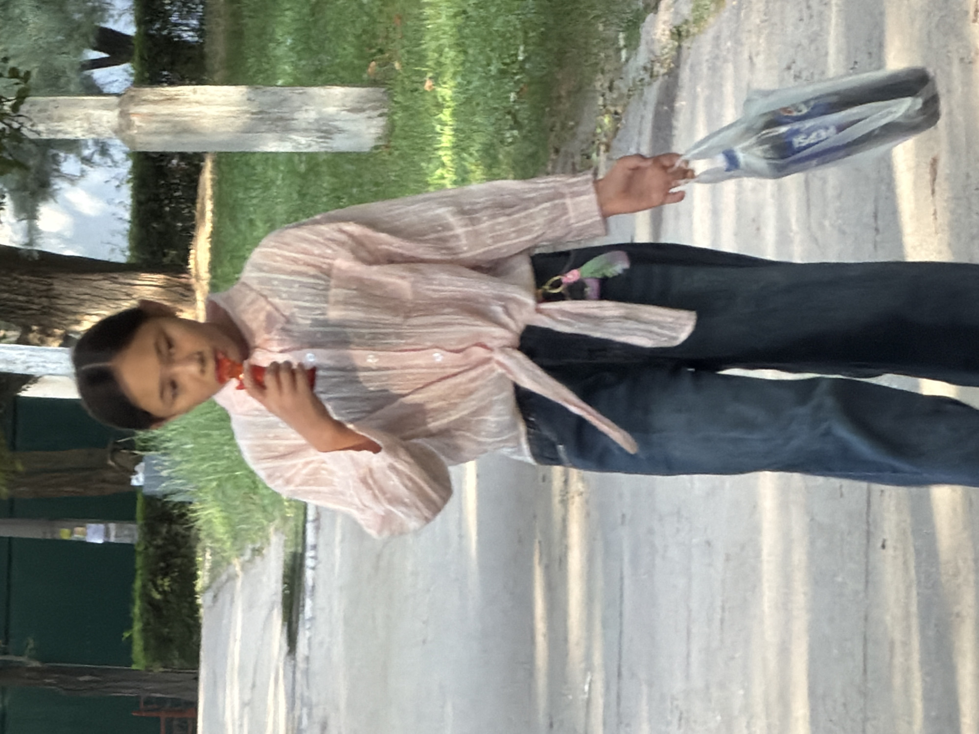 A young person wearing a pink striped shirt and dark blue jeans is standing outdoors, holding a clear plastic bag with two Pepsi bottles inside. The person is holding an orange object, possibly food, to their mouth. The background shows a grassy area and a paved walkway. The lighting suggests it is daytime, possibly late afternoon, as there are shadows. The image is oriented vertically, with the person's head at the bottom. There is visible text on the Pepsi bottles, which reads "PEPSI".