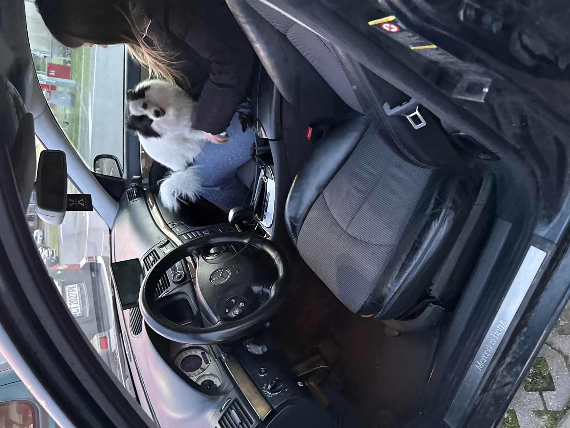 A woman is holding a small, black and white dog inside a black Mercedes-Benz. The car appears to be parked. The driver's side door is open, revealing the interior of the car, including the steering wheel and dashboard. The scene is set in Stara Zagora, Bulgaria, evident from the license plate "CT 2027 PK" of a vehicle visible through the driver's side window.