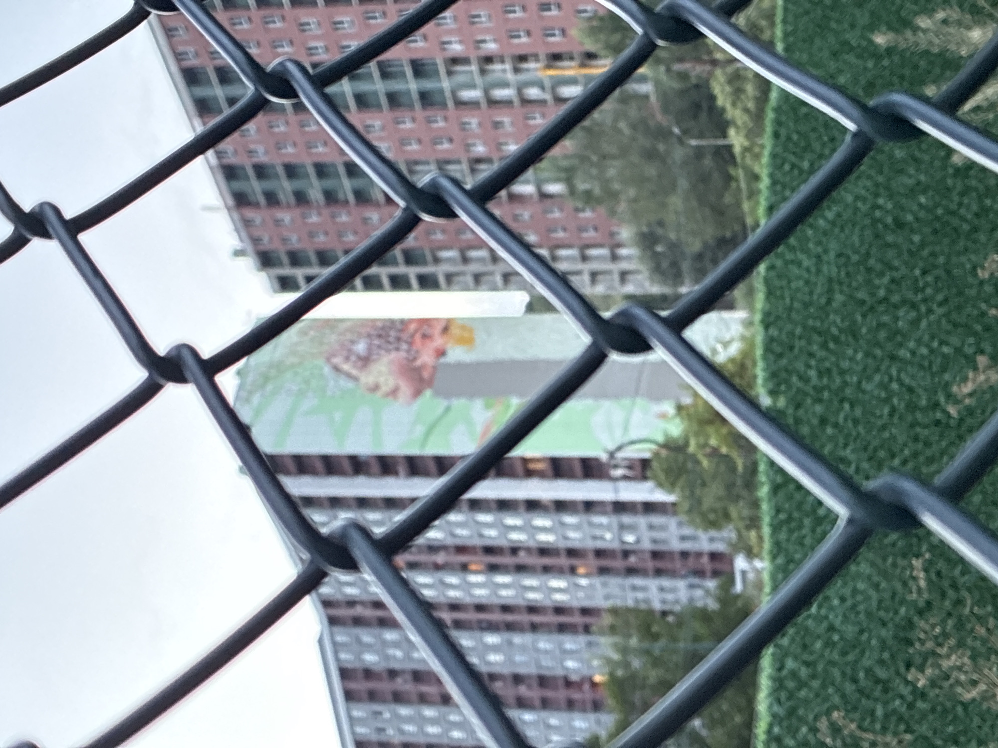 The image shows a close-up view of a dark gray chain-link fence in the foreground, with a dense, dark green artificial hedge behind it. In the background, out of focus, are several multi-story apartment buildings. One building in the center appears to have a large, colorful mural on its side, featuring abstract shapes and possibly part of a face. To the left and right of this building are other apartment buildings, one predominantly gray and white, and another a reddish-brown with green accents. The sky above is overcast and pale. The overall scene suggests an urban environment, likely in Tbilisi, Georgia, given the architectural style of the buildings.