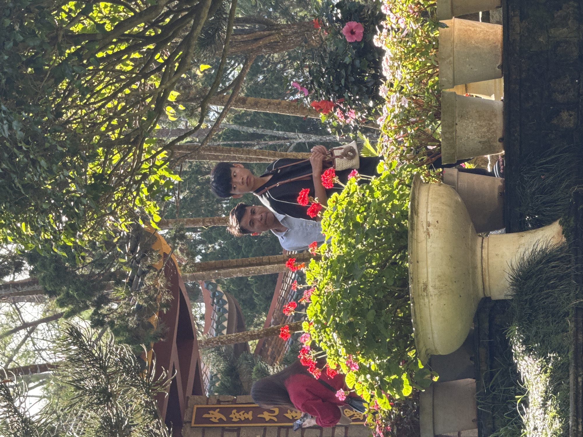 The image captures a sun-dappled scene with lush greenery and flowers, likely within a garden setting in Da Lat, Vietnam, given the architectural style of the pagoda-like structure and the prevalence of pine trees. In the foreground, a large, ornate, light-colored planter holds a vibrant arrangement of red geraniums. To the right, several other potted plants with pink and white flowers are visible. Behind the flowers, two young men are standing. The man on the left is wearing a light-colored collared shirt, and the man on the right is wearing a black t-shirt with white trim and carrying a small woven bag. In the background, a woman in a red top is partially visible, looking at her phone. The setting appears to be part of a tourist attraction or a temple complex, indicated by a traditional-looking signage with Chinese characters on the left side of the frame. Sunlight filters through the dense foliage of trees, creating dappled light and shadow patterns across the scene.