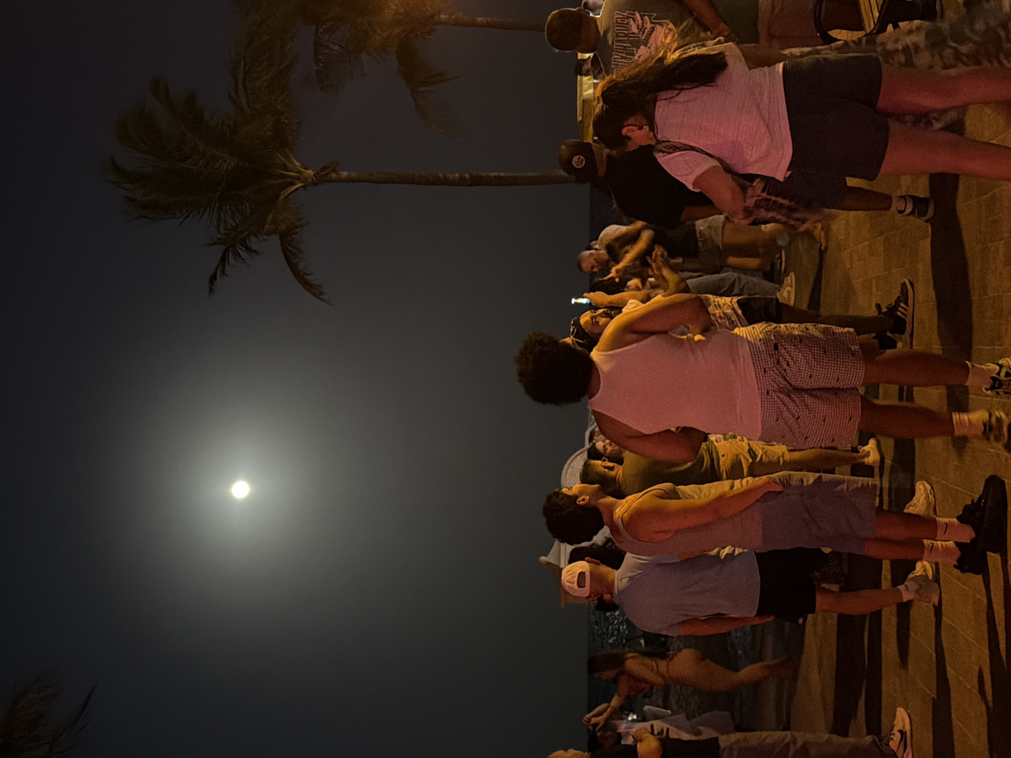 An outdoor nighttime scene is depicted on a beach promenade in Hollywood, United States of America, with a bright full moon illuminating the sky. A crowd of approximately fifteen people are visible, gathered in small groups. Several individuals are looking up at the moon. The individuals are dressed in casual attire such as t-shirts, tank tops, shorts, and athletic shoes. Palm trees are prominent in the background. The ground appears to be paved with bricks. The ocean is visible in the distance.