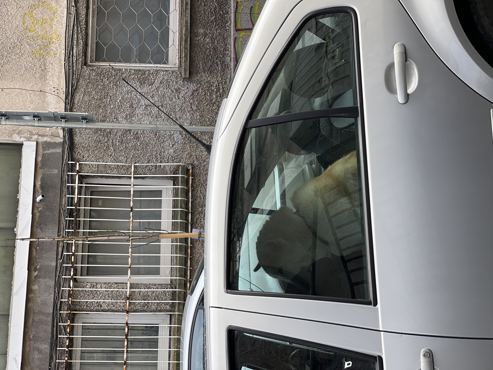 A daytime, medium-angle shot captures a white van parked near a building in Plovdiv, Bulgaria. The vehicle, filling the right side of the frame, has a large window through which a dog is visible. The building on the left features barred windows and a weathered facade. Wires run along the building's exterior. A metal structure extends from the wall. The overall setting suggests an urban environment.