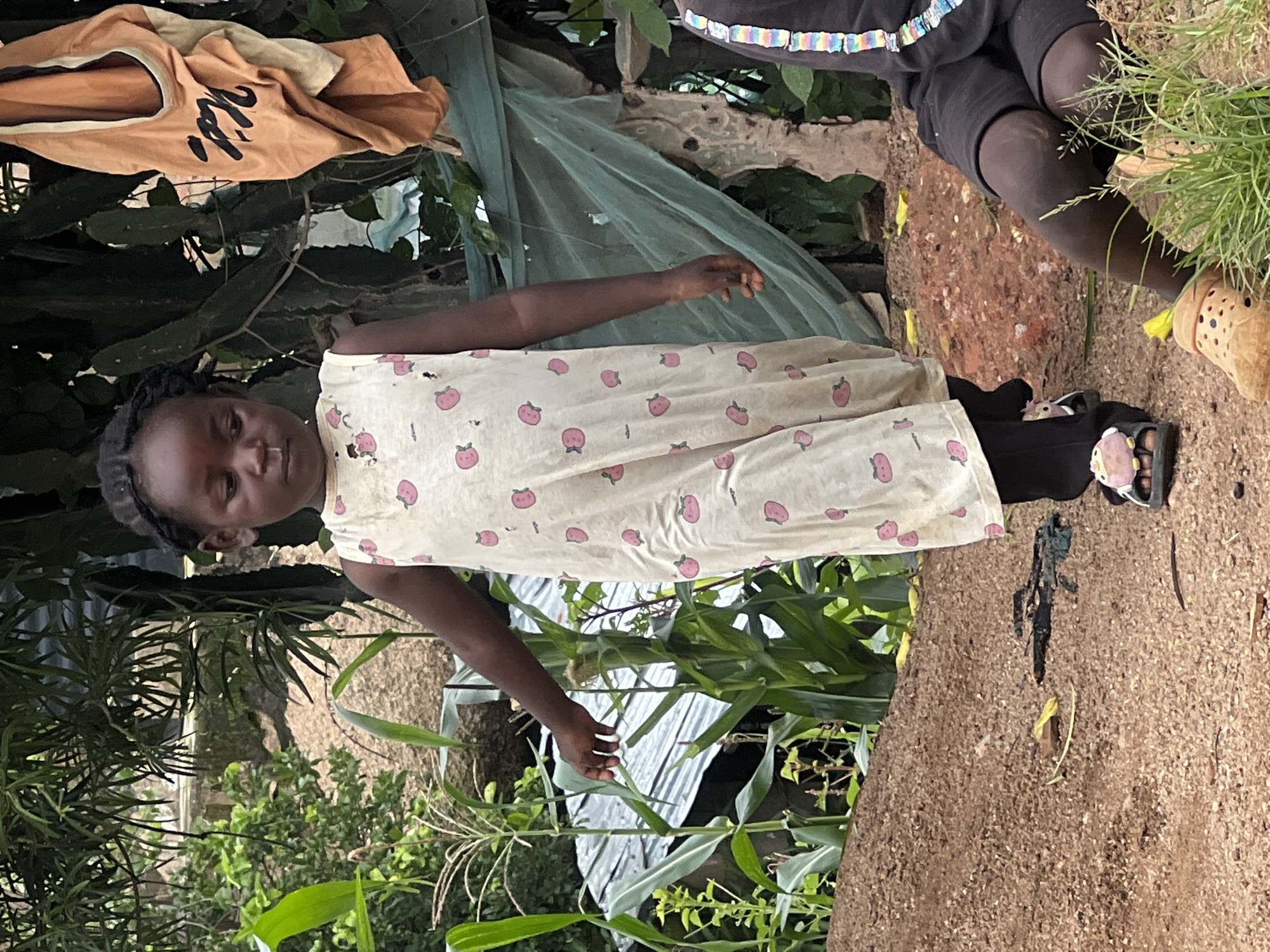 In Jos, Nigeria, a young girl with braided hair stands on a dirt path. She is wearing a light-colored, sleeveless dress with a pattern of pink strawberries. Her left arm is extended forward, and her hand is reaching towards a tall corn plant. To her right, another child is seated, wearing black shorts and a black shirt with a colorful striped trim. Behind the children, there are various plants, including more corn stalks, and a piece of orange fabric with black writing is hanging from a tree. A green mesh netting is also visible in the background, draped over a structure. The ground is covered in small pebbles and dirt, with some scattered yellow leaves.