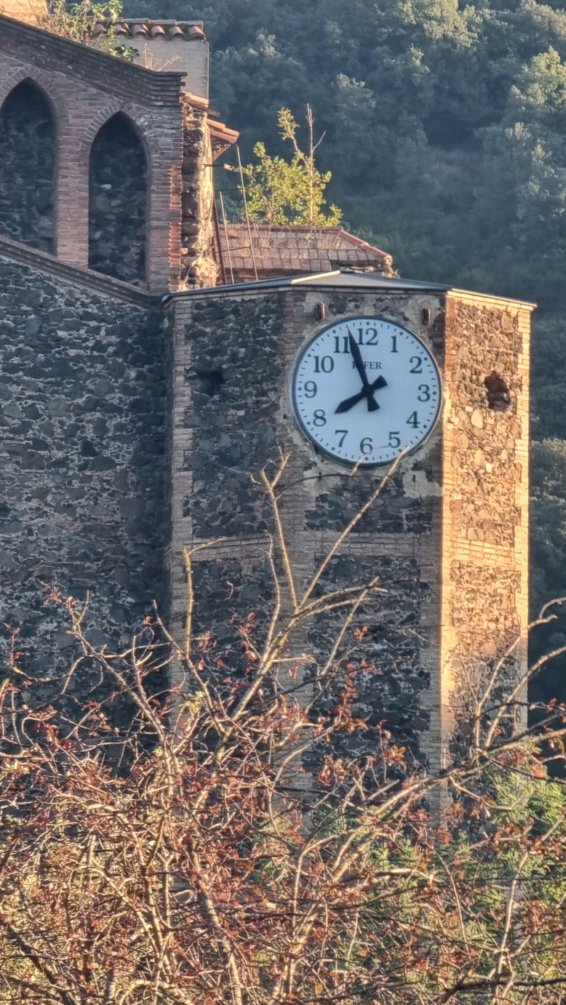 This image depicts a close-up view of a clock tower in the municipality of Sant Joan Les Fonts, Spain. The clock face, a classic circular design with Roman numerals, is prominently featured. The hour hand points to approximately 8:37, while the minute hand is nearing the 8. The clock is mounted on a stone and brick structure, with arched windows visible in the background, suggesting an older architectural style. In the foreground, the bare branches of a tree with some reddish leaves are prominent, with a dark, wooded hillside serving as the backdrop. The sunlight highlights the textures of the stone and brickwork, and casts long shadows. There are no people or animals visible in the frame.
