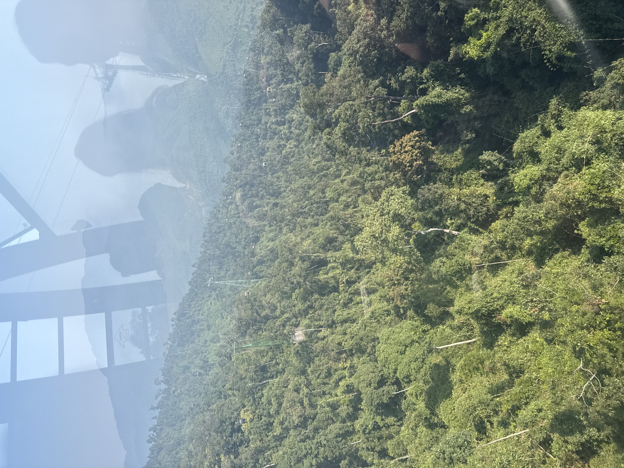 The image depicts a view from a cable car ascending over a dense, green forest in what is likely the Bà Nà Hills near Đà Nẵng, Vietnam. The view is partially obscured by reflections from the cable car's glass windows, showing silhouettes of people and internal elements. The forest below is dense with a mix of tree types and canopy cover. Some cable car support structures and cables are visible descending into the canopy. There is a hazy or foggy atmosphere in the background.