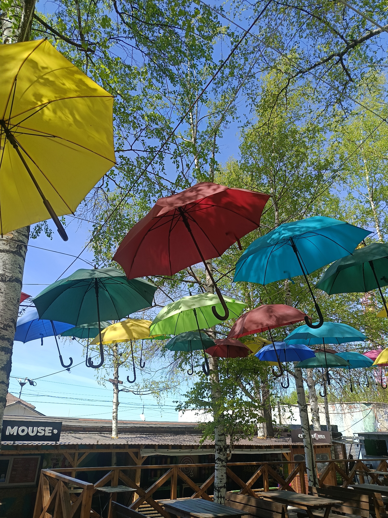 The image shows an outdoor cafe setting, identified by the "MOUSE" signage, which is a cafe located in Izhevsk, Russia. The cafe's patio features wooden picnic-style tables and benches. Overhead, a dense arrangement of colorful umbrellas hangs suspended, creating a decorative canopy. The umbrellas are varied in color, including yellow, red, blue, and green. They are interspersed among the branches of birch trees, visible against a clear blue sky. The scene suggests a sunny day.