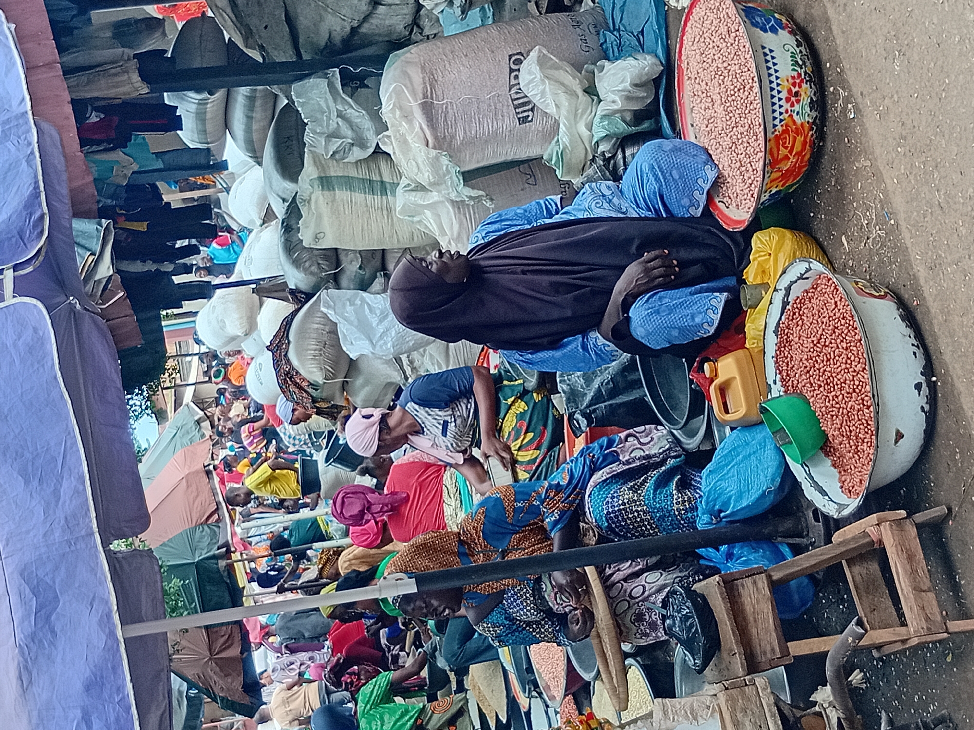In Lokoja, Nigeria, a bustling open-air market unfolds beneath a large, faded purple umbrella, providing shade for a diverse array of vendors and shoppers. The ground is a mixture of dirt and scattered debris, with puddles of water suggesting recent rain. Stalls are piled high with sacks of grains and various goods, some with branding visible, like "Jumbo Gas Agric."
Several women are prominently featured, seated on the ground amidst their wares. One woman, wearing a dark hijab and a vibrant blue patterned outfit, is looking to her right. Beside her, a woman in a blue and white patterned dress is examining something in her lap, her hands occupied with a woven tray. Another woman, dressed in a bright pink headscarf and a pink top, is also seated, her gaze directed forward. A woman in a green top and a patterned skirt is partially visible on the left, engaged in activity.
In front of the seated women are large metal bowls brimming with small, reddish-brown legumes, likely peanuts, arranged for sale. These bowls, some with decorative floral patterns, sit on the ground alongside other containers and bags. Smaller bowls and a yellow jerrycan are also visible, suggesting a variety of goods are available. The overall scene depicts a typical day of commerce in a Nigerian marketplace, characterized by vibrant colors, community interaction, and the trade of essential commodities.