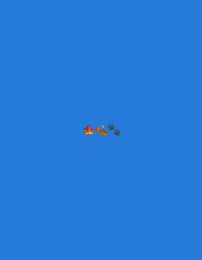 The image is a digital graphic on a blue background. In the center of the frame, there are two fall leaves, one red and one orange, and two paw prints. The leaves are arranged slightly to the left of the paw prints. The paw prints are black and appear to be in a walking pattern. The image does not depict any scene in Rusanovo, Russia, nor does it contain any people.