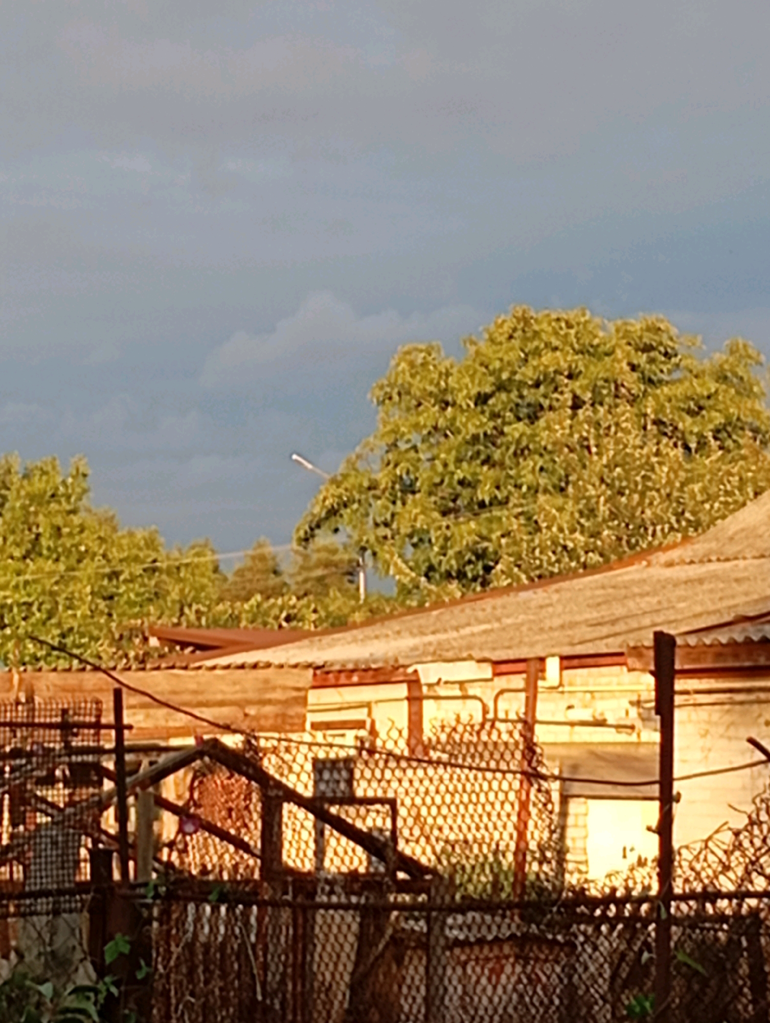 This image depicts a view of industrial buildings and vegetation in Horishni Plavni, Ukraine. The sky is overcast with some lighter clouds. In the foreground, there are rusted metal fences and structures, suggesting a somewhat neglected or aged industrial area. Behind the fences, there are low-lying buildings with corrugated metal roofs. A large, leafy tree with light green foliage is prominent in the middle ground, casting some shadows. The light suggests it is either early morning or late afternoon, with the sun highlighting the tops of the buildings and tree. A street lamp is visible in the upper right portion of the frame, extending from a pole. The overall impression is of an ordinary day in an industrial part of the city.
