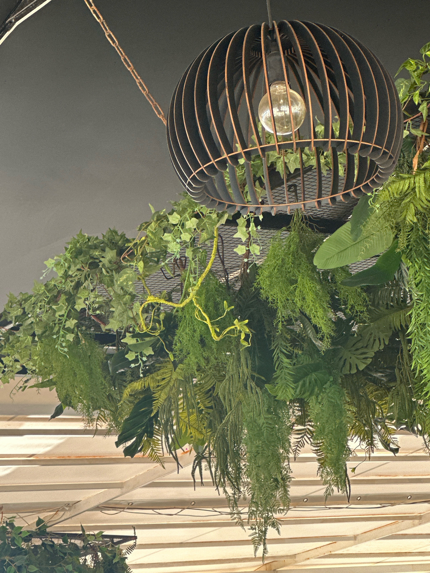 The image shows an indoor scene with a ceiling adorned with a decorative light fixture and artificial plants. A large, black, spherical light fixture, resembling a cage made of wooden slats with copper trim, hangs from a rusty chain. Inside the fixture, a clear, incandescent light bulb is visible. Surrounding the light fixture and hanging down are various types of artificial greenery, including ivy, ferns, and other leafy plants, arranged in a dense cascade. Below the plants, a slatted ceiling structure is visible, suggesting an outdoor covered area or a space with a unique architectural design. The lighting is dim, with the light bulb providing the primary illumination. There are no people visible in the image. The location is Lermontovo, Russia.