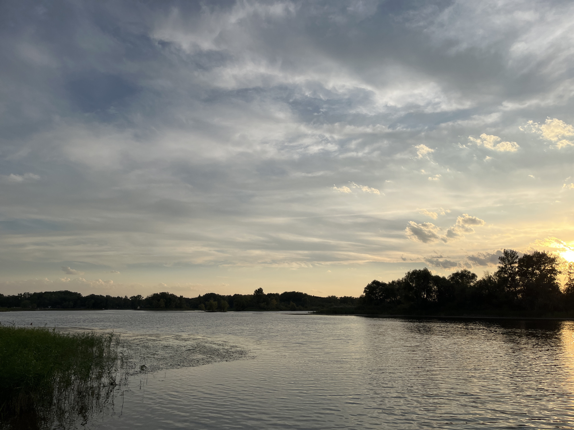 A wide-angle, eye-level, landscape photograph captures a serene view of a lake at dusk. The sky is filled with a dramatic display of clouds, ranging from deep grays to soft whites, with streaks of pale yellow and orange from the setting sun on the right side of the frame. The water's surface is calm, reflecting the muted tones of the sky. Dense trees line the far bank of the lake, silhouetted against the twilight sky, creating a dark, undulating horizon. On the left side of the foreground, tall reeds and grasses emerge from the water, adding a touch of natural texture. The overall impression is one of tranquility and natural beauty. The photograph appears to have been taken near the village of Shumeyka, Saratov Oblast, Russia, given the characteristic landscape of the region. There are no people or animals visible in the scene.