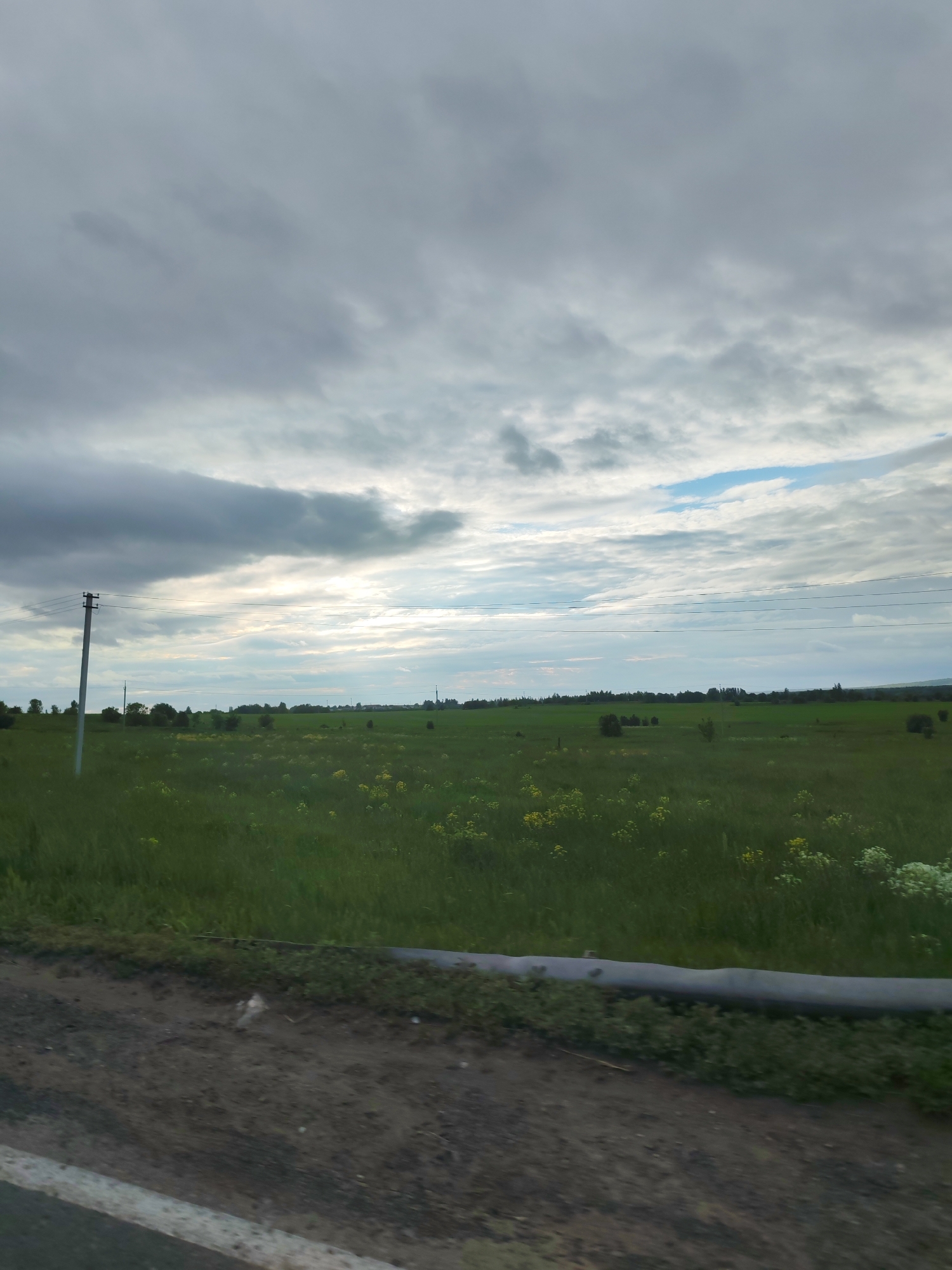 The image captures a rural landscape in Malaya Purga, Russia, under an overcast sky. The upper two-thirds of the frame are occupied by a sky dominated by a dense layer of dark and light grey clouds. Patches of blue sky are visible towards the upper right, and a bright, diffuse light source, possibly the sun, is discernible behind the clouds near the horizon line, slightly left of the center.
The midground features an extensive, flat green field, lush with vegetation, including tall grasses and numerous small yellow flowers. Some clusters of white flowers are also visible towards the right side of the field. A distant line of dark green trees or bushes forms the horizon, behind which subtle, indistinct structures are faintly visible, particularly to the left of the center.
In the foreground, the bottom portion of the image shows a dirt road or path. On the far left, a white line suggests the edge of a paved surface. A grey, horizontal, cylindrical object, resembling a pipe or a low barrier, is positioned along the edge of the dirt path and the green field on the lower right, partially obscured by low-lying green vegetation. A tall, slender utility pole, dark grey in color, stands prominently on the left side, extending from the ground upwards into the sky. Multiple thin, dark power lines are strung horizontally from this pole, traversing the sky above the field. There are no individuals, animals, or explicit actions depicted in the scene.