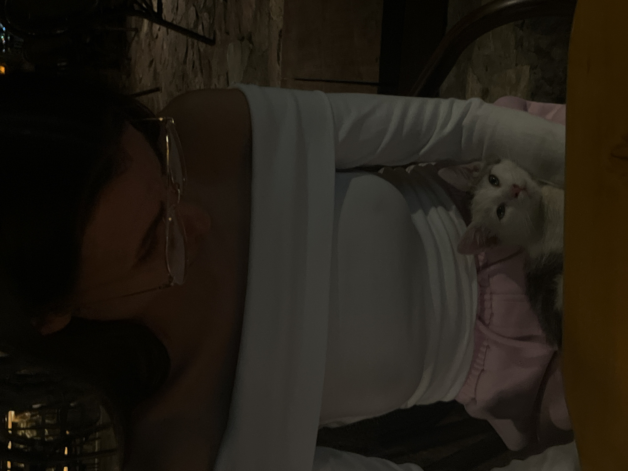 A person with dark hair and glasses is looking down at a small, white cat with gray markings resting on their lap. The person is wearing a white, off-the-shoulder shirt and pink pants. The scene appears to be outdoors at night, possibly in Boreti, Montenegro, based on the background which suggests a dimly lit outdoor area, possibly a patio or terrace.