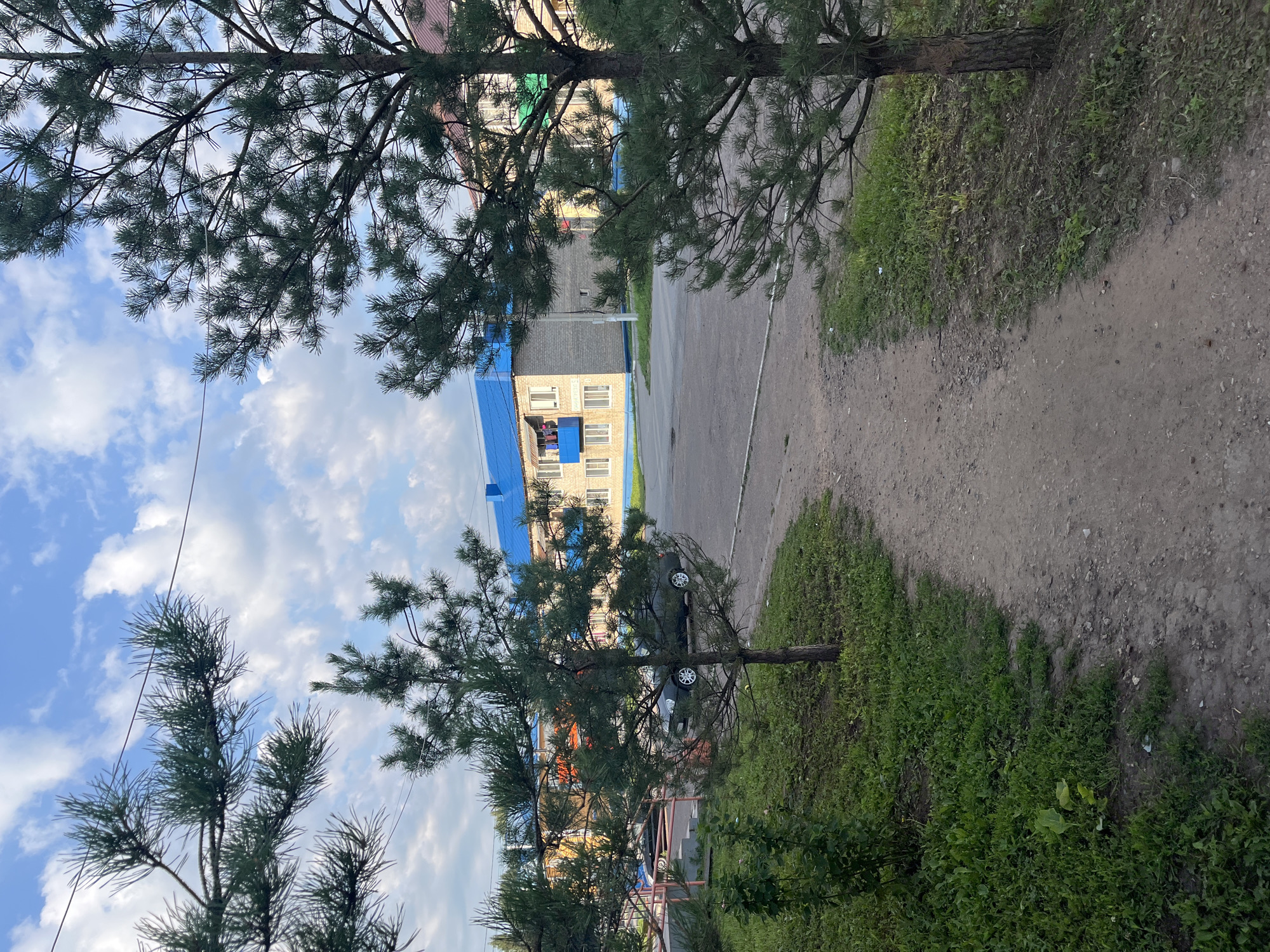 The image depicts an outdoor scene on a cloudy day, likely in Blagoveshchensk, Russia. In the foreground, a dirt path winds through green grass and small trees. Two pine trees frame the path, with their branches extending towards the sky. In the mid-ground, a paved road curves past a multi-story brick building with a distinctive bright blue roof. The building has balconies with laundry hanging out to dry. A dark-colored car is parked on the side of the road. The sky above is a mix of blue and white clouds, with power lines visible in the upper portion of the frame. The overall impression is that of a residential area in a town or city.