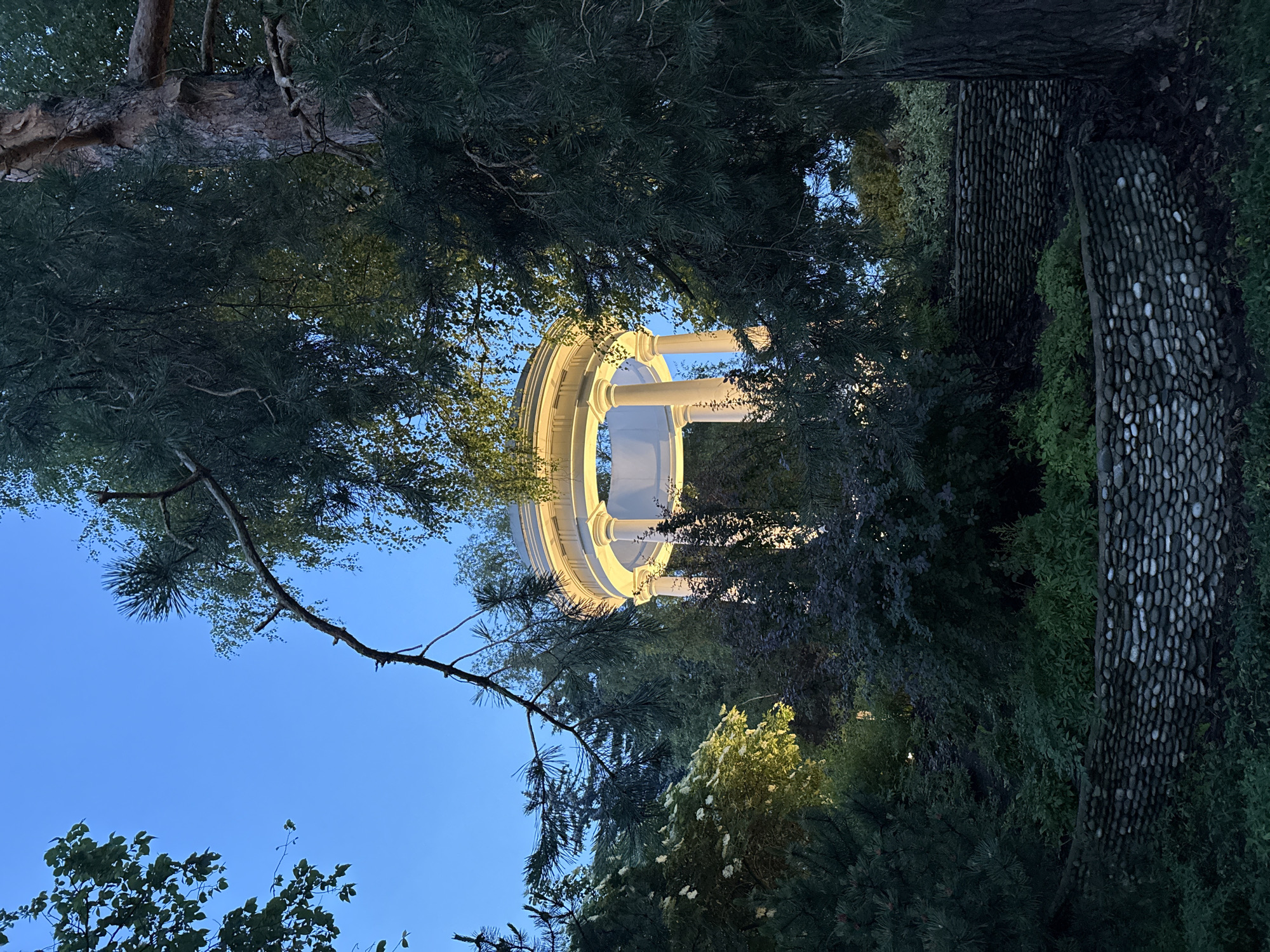 The image shows a rotunda illuminated by artificial light, nestled within a garden setting. The rotunda, a circular structure with a domed roof supported by columns, is visible through the branches of mature trees. The surrounding vegetation includes various types of trees and shrubs, some with dark foliage and others with lighter green leaves. The ground is covered with low-lying plants and a distinctive stone wall constructed from rounded pebbles. The sky above is a clear, deep blue, suggesting it is dusk or early evening. The overall impression is one of a serene, cultivated outdoor space. This scene is located in the Neskuchny Garden, part of the Gorky Park complex in Moscow, Russia.