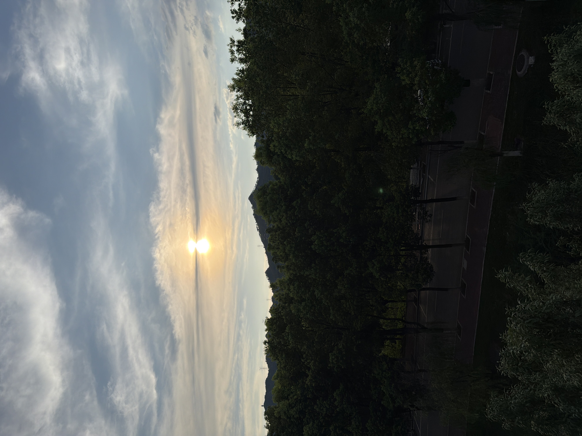 The image shows a view of a sunset over a tree-lined street in the city of Jiangjin, China. The sun is low on the horizon, casting a warm glow through scattered clouds. A dense line of dark green trees occupies the middle ground, obscuring a hilly landscape in the background. A street with parking spaces is visible in front of the trees, with a few sparse trees and some vegetation along the roadside. The foreground features lush green bushes and foliage. The overall atmosphere is serene and natural, with hints of urban development.