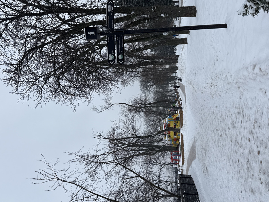 The image depicts a snow-covered park scene on an overcast winter day, identified as Volodymyr Hill Park in Kyiv, Ukraine. The location is confirmed by a black multi-directional signpost in the right foreground, featuring an "i" for information at the top and directional arrows pointing towards "ПОДІЛ" (Podil), "РАЙСЬКИЙ ДІМ" (Raysky Dim), "ВОЛОДИМИРСЬКА ГІРКА" (Volodymyrska Hirka - Volodymyr Hill), and "КАФЕ" (Cafe).
The ground, paths, and tree branches are covered in snow. Numerous deciduous trees, devoid of leaves, dominate the scene. A paved path, partially cleared of snow, extends into the middle ground from the lower left, merging with a wider, snow-covered path on the right. In the middle ground, slightly left of center, is a colorful children's playground structure, featuring yellow, red, and blue components resembling a castle. A black ornamental metal fence runs along the left side of the path.
Several individuals are present: one person in dark clothing walks away from the camera along the central path. Further down this path, another person, also in dark clothing, pushes a dark-colored stroller or pram. An additional figure is visible near the right edge of the frame, partially obscured by trees. Park benches, partially covered in snow, are visible along the paths. The sky is uniformly gray and overcast.