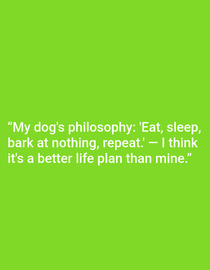This is a media file with white text on a bright green background. The text reads: "My dog's philosophy: 'Eat, sleep, bark at nothing, repeat.' — I think it's a better life plan than mine." There are no people, objects, or scene elements visible, only the text. The background is a uniform, solid green, offering no clues about the setting, time of day, or weather. The emotion conveyed is humorous and relatable, as it pokes fun at the simple yet appealing lifestyle of a dog. The text itself is the sole subject and detail of the media file.