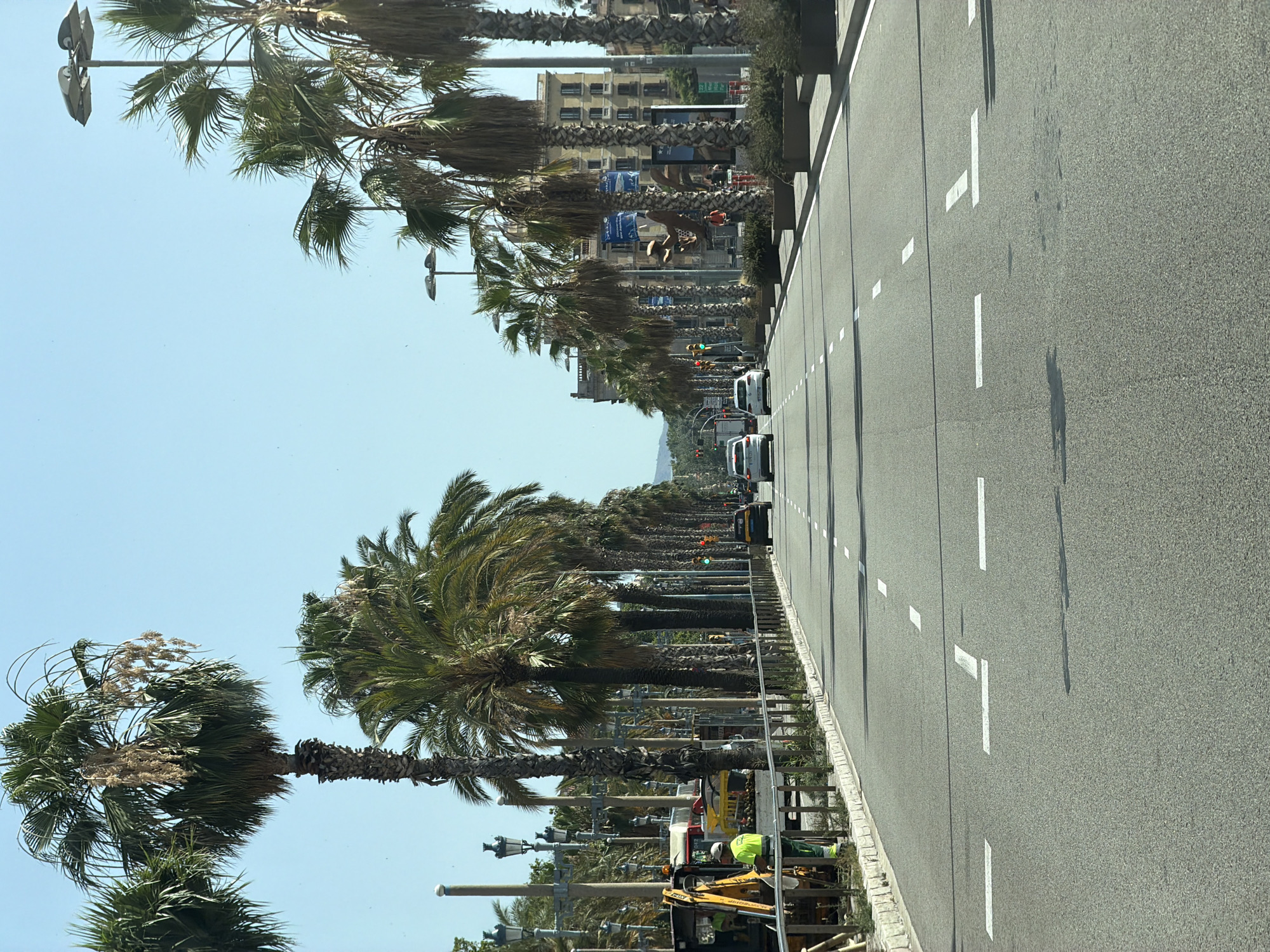 The image captures a sunny day on a wide, multi-lane road lined with tall palm trees, characteristic of Barcelona, Spain. The road is paved with asphalt and marked with white dashed lines indicating lanes. In the foreground, the road surface shows some damp patches and shadows cast by the surrounding palm trees and possibly vehicles.
On the left side of the road, construction work is underway. An excavator is visible, and a person in a neon yellow safety vest and green pants is operating machinery or performing a task. A metal railing separates the construction area from the road.
Several cars are driving on the road. Two white cars are in the middle lanes, and further down, a black taxi and other vehicles are visible. Traffic lights are present, with one showing a green light for traffic heading away from the viewer.
The left side of the road is bordered by a sidewalk, street lamps, and more palm trees. The right side of the road also features a line of palm trees, with buildings in the background. One building, several stories high, is constructed of stone or brick and has numerous windows. Banners or posters are displayed on some of the palm trees.
The sky is clear and blue, indicating good weather. The overall scene depicts a busy urban environment with elements of infrastructure, transportation, and ongoing development, set against a backdrop of characteristic Mediterranean vegetation.