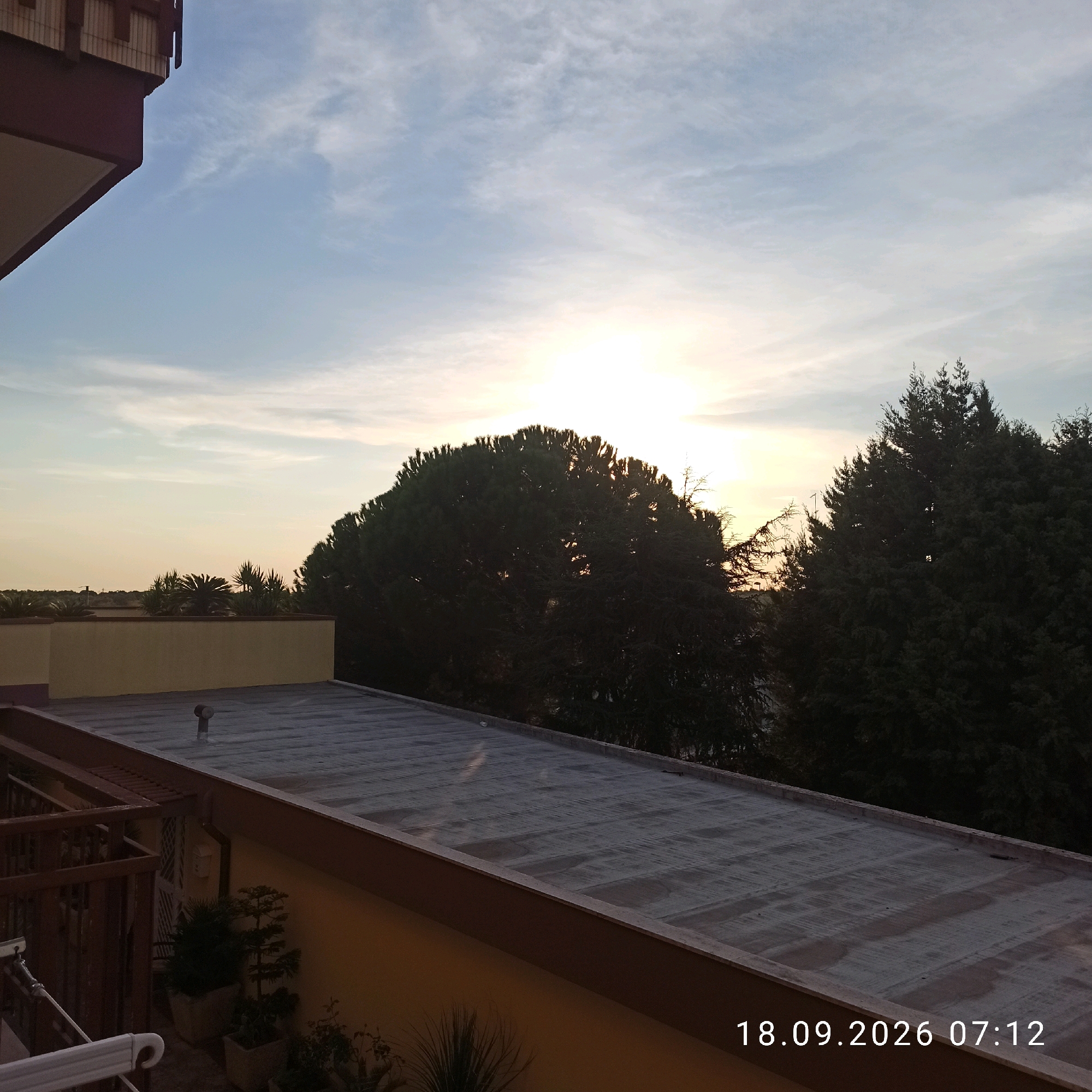 The image depicts a rooftop view at sunrise in Bitonto, Italy, on September 18, 2026, at 07:12. The foreground features a flat, grey rooftop with some visible water stains and a ventilation pipe. To the left, a portion of a building's dark red overhang is visible, along with part of a wooden railing and some potted plants on a lower level. The background is dominated by lush green trees, including a large, dense pine tree in the center, silhouetted against the bright, hazy sun. To the right, a row of darker trees, possibly cypresses, stands tall. In the distance, faint outlines of palm trees and other vegetation are visible against a pale, yellowish sky with scattered clouds, indicating the early morning light. The overall scene is tranquil and natural, with urban elements suggested by the buildings and rooftops.