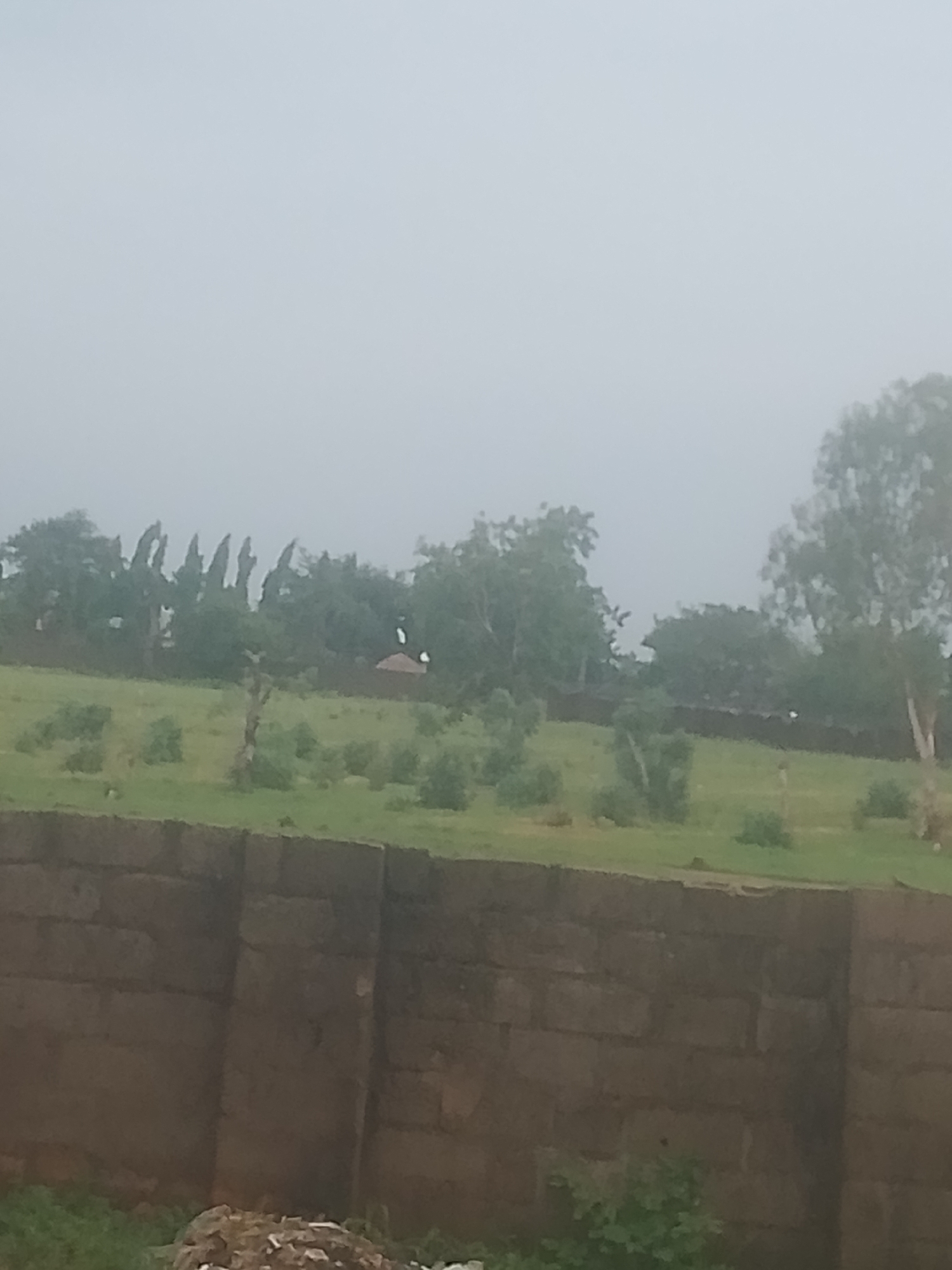 The image captures a hazy, overcast day in Jauro Yinu, Nigeria. A low, brick wall dominates the foreground, constructed from rectangular, earth-toned blocks. Beyond the wall, a grassy field stretches towards a line of trees and vegetation. In the distance, within the greenery, a small, reddish-brown structure with a peaked roof is visible. Two white birds are seen in flight above the field. The sky is a uniform, pale gray, indicating a lack of distinct cloud formations. The overall impression is one of a rural or semi-rural setting under a diffused, muted light.