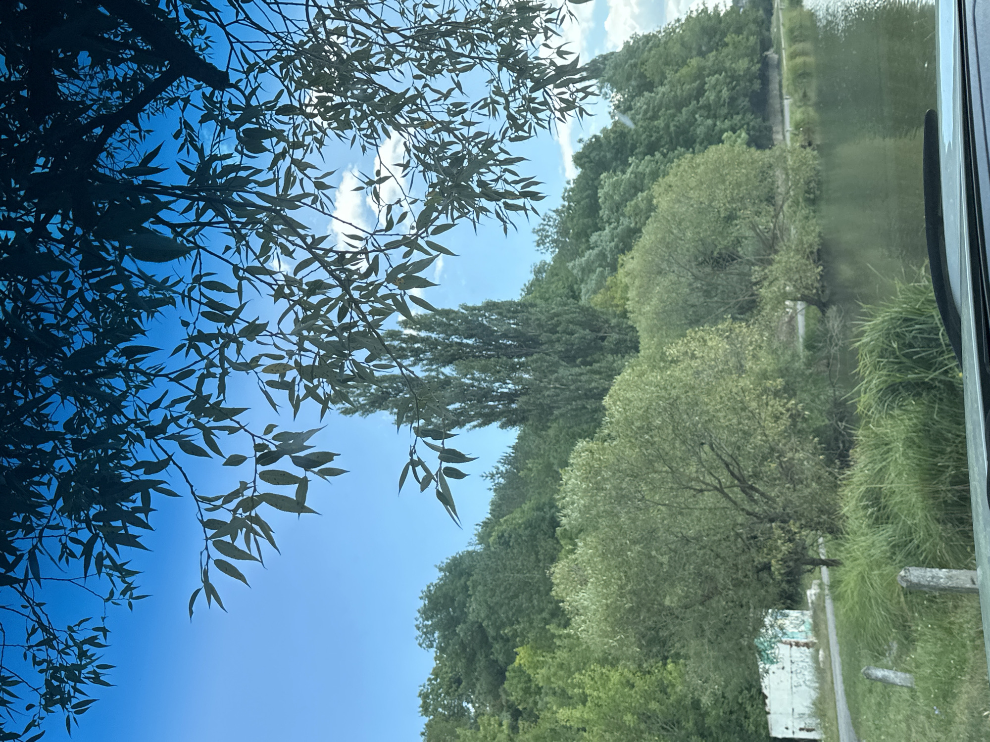 The image depicts a natural scene with a body of water in the foreground and a lush green hillside covered with trees in the background. The sky is bright blue with a few scattered clouds, and branches with green leaves hang from trees in the upper part of the frame. On the left side of the image, a road runs alongside the water, with a dilapidated white building with graffiti visible behind it. Two concrete posts are planted in the grass near the water's edge. The overall impression is of a peaceful, rural landscape. While the image is stated to be of Makiv, Ukraine, no specific landmarks or context are provided within the image itself to confirm this location beyond the description.
