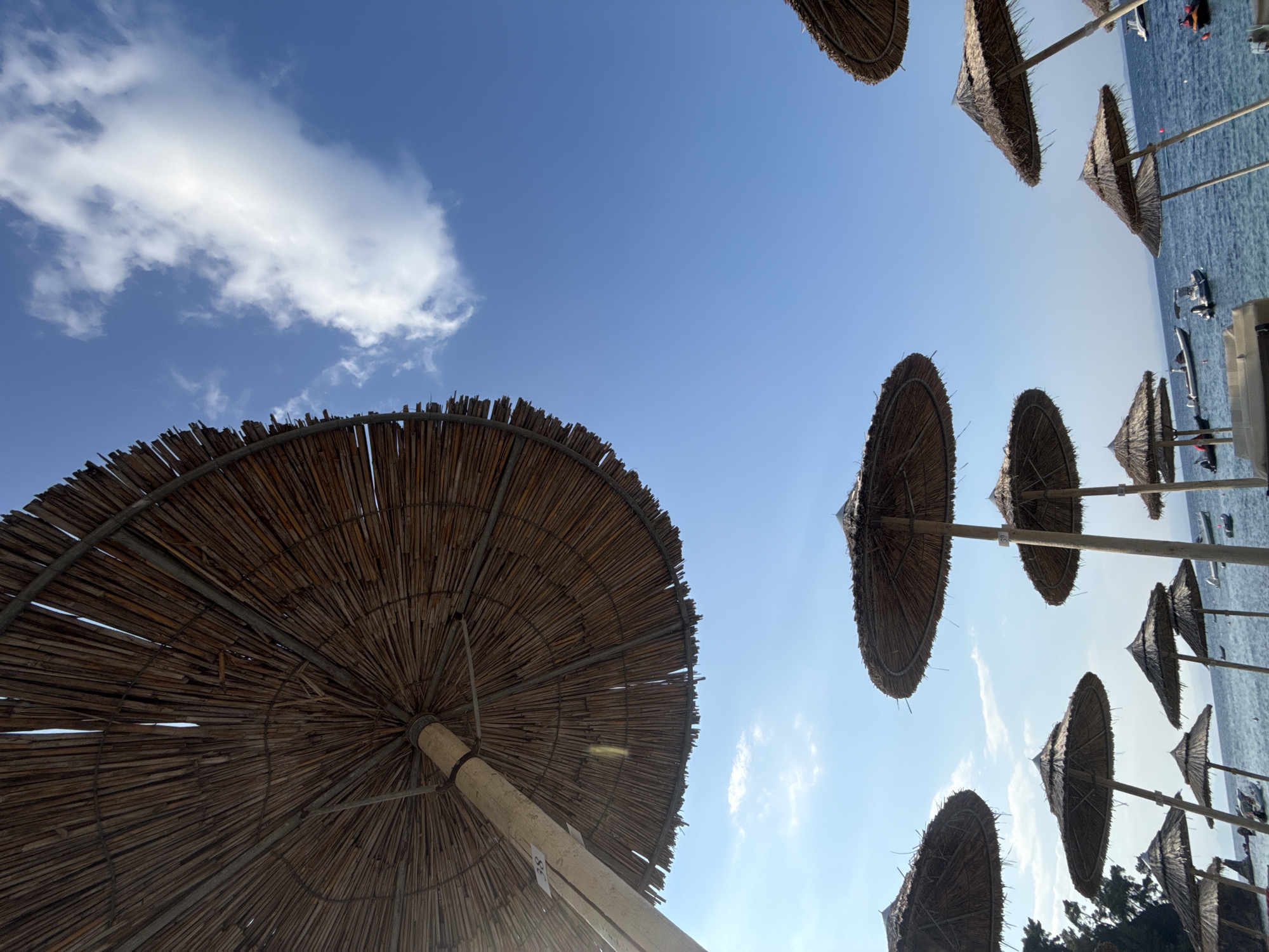 This image depicts a sunny day at a beach in Sithonia, Greece, likely during the summer tourist season. The perspective is from below, looking up at numerous thatched-roof umbrellas providing shade. The umbrellas are made of natural materials, with their straw-like tops extending outwards from central wooden poles. Some of the poles have visible numbers, possibly indicating their location or rental status.
In the background, the calm, blue sea stretches towards the horizon under a clear blue sky dotted with a few white, fluffy clouds. Several small boats, including motorboats and possibly a jet ski, are visible on the water. The shoreline is not clearly visible, but the overall impression is one of a serene coastal resort. There are no people clearly visible in the frame, but the presence of the umbrellas and boats suggests human activity. The lighting indicates it is daytime, with bright sunlight casting shadows and highlighting the textures of the umbrellas. The overall scene conveys a sense of relaxation and vacation.