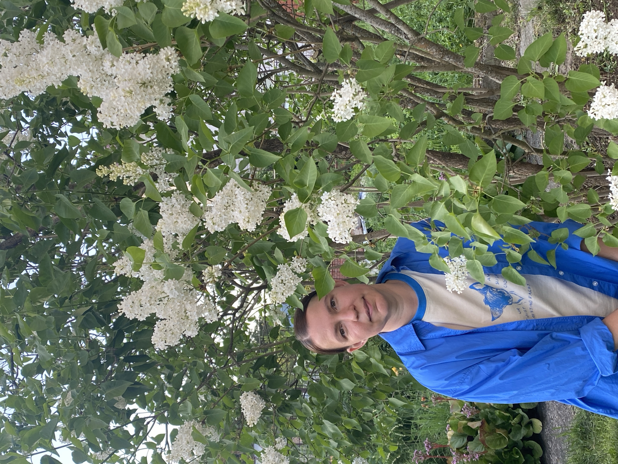 A medium-shot of a person in a blue shirt and beige t-shirt stands in front of a blooming white lilac bush. The background includes more greenery and hints of a fence. The location is Прикамский, Russia.