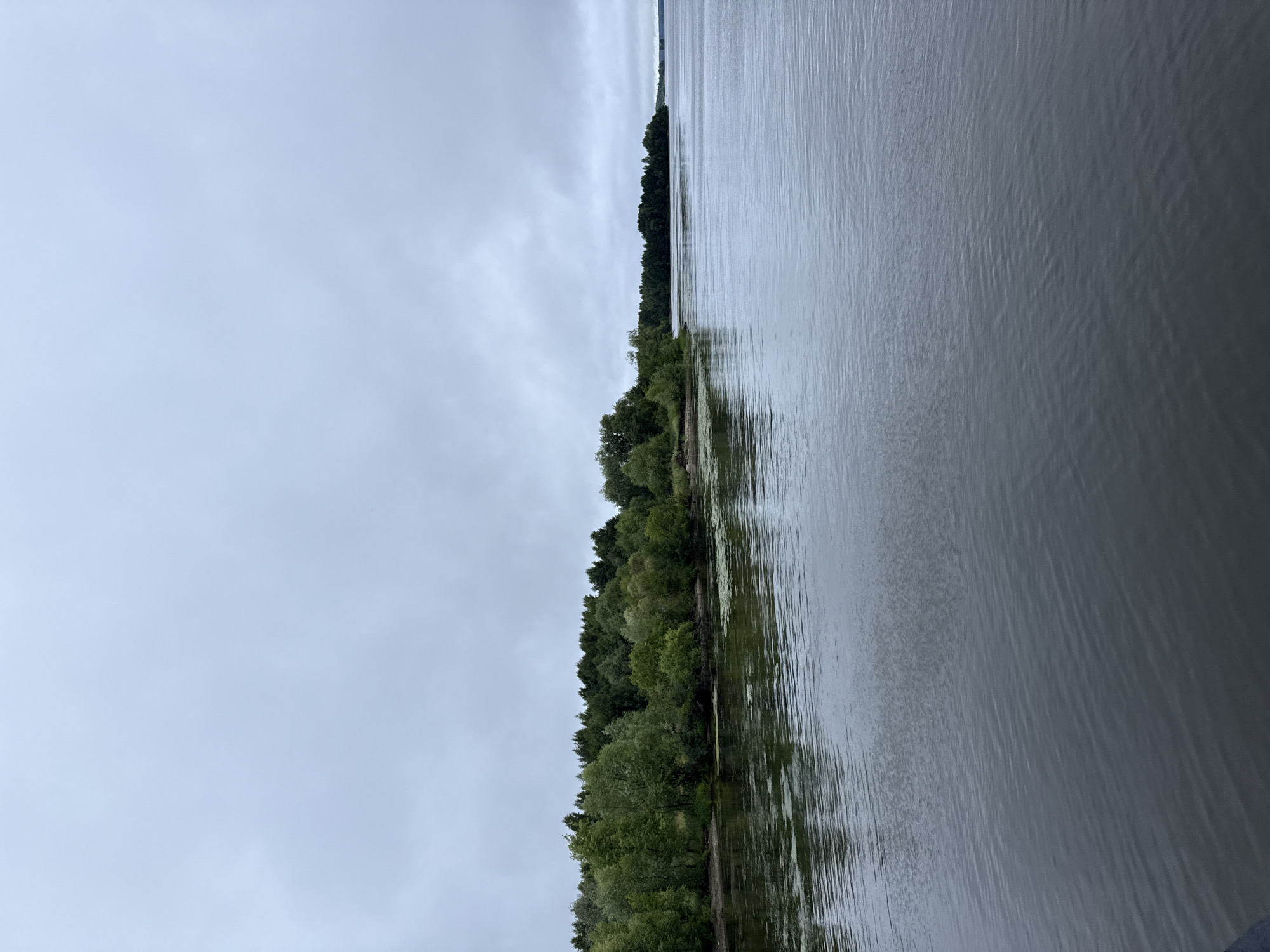 The image depicts a wide, calm body of water, likely a river, under an overcast sky. On the left side of the frame, a lush green treeline borders the water's edge, with dense foliage and some visible undergrowth. The trees extend into the distance along the shore, forming a continuous band of green. The water surface shows gentle ripples, reflecting the muted light of the sky. In the distance, the water stretches towards a hazy horizon where it meets the sky. The scene evokes a sense of tranquility and natural beauty, characteristic of a riverside environment in a rural or semi-rural setting. The specific location within Kozmodemyansk, Russia, is not identifiable from the visual information alone, but it suggests a landscape common to the region.