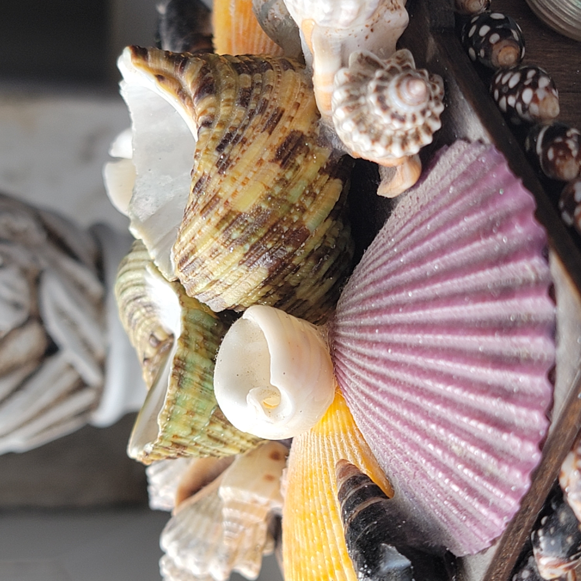 The image is a close-up, high-angle shot of a collection of seashells. The shells are arranged on a dark surface, possibly wood, with some sand or fine grit visible. In the foreground, a large, ridged, pink seashell is prominent, with its textured surface catching the light and appearing to have fine glitter. To the left of the pink shell is a bright yellow shell. Behind these, a large, striped shell with green, brown, and yellow bands is visible, its opening facing towards the viewer. A smaller, white, coiled shell sits within the opening of this larger striped shell. Other seashells, some conical and others more fragmented, are scattered throughout the arrangement, including some small, dark shells with white speckles in the lower right corner. The background is blurred, showing hints of what appears to be a sculpted or decorative object made of pale, textured material, possibly a statue or vase, and a dark, out-of-focus area. The lighting is bright and diffused, highlighting the textures and colors of the shells. There are no people or animals present in the image, and no specific location in Iglino, Russia can be determined from the visual information provided.
