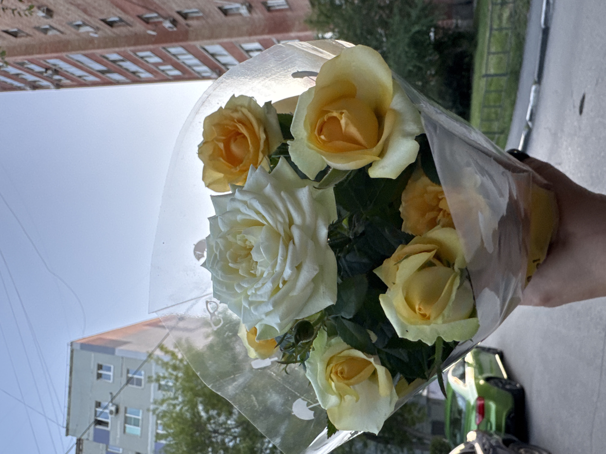 A bouquet of white and yellow roses is held by a person with black nail polish, angled towards a bright sky. The roses are wrapped in clear cellophane, which has some smudges and what appear to be imprinted circular designs. Behind the flowers and to the left, the upper floors of a red brick building with many windows are visible. To the right of the bouquet, a green toy car is parked. The scene appears to be outdoors during the day, likely sunny given the brightness of the sky. The overall mood is cheerful and the setting suggests an urban environment in Tolyatti, Russia.