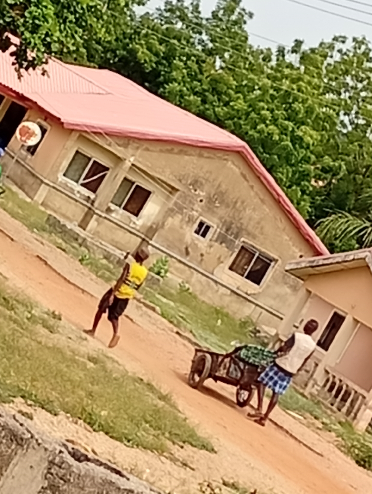 The image captures a daytime scene in Adankolo, Nigeria, featuring a dirt path, two men, and residential buildings surrounded by greenery. The perspective is slightly tilted, looking down an unpaved, reddish-brown road.
**Subjects:** In the foreground, a man wearing a yellow top and dark shorts walks on the dirt path, facing away from the camera. In the midground, another man, dressed in a light-colored shirt and blue and white plaid shorts, pushes a two-wheeled cart laden with leafy green produce or plants. In the background, there are two single-story houses with reddish corrugated metal roofs. The larger house on the left has light-colored walls, multiple windows, and a rusty satellite dish mounted on its side. Abundant green trees and foliage are visible behind and around the houses, indicating a lush environment.
**Activity or event taking place:** The scene depicts routine daily activity. One man is walking along the path, while the other is transporting goods, likely fresh produce, using a handcart.
**Notable details:** The time of day appears to be daytime, possibly under an overcast sky or diffuse light, as there are no harsh shadows. The general environment suggests a rural or semi-urban setting, characterized by unpaved roads and simple residential architecture typical of the region. No strong emotions are discernible from the subjects.
**Visible text:** There is no visible text in the image.