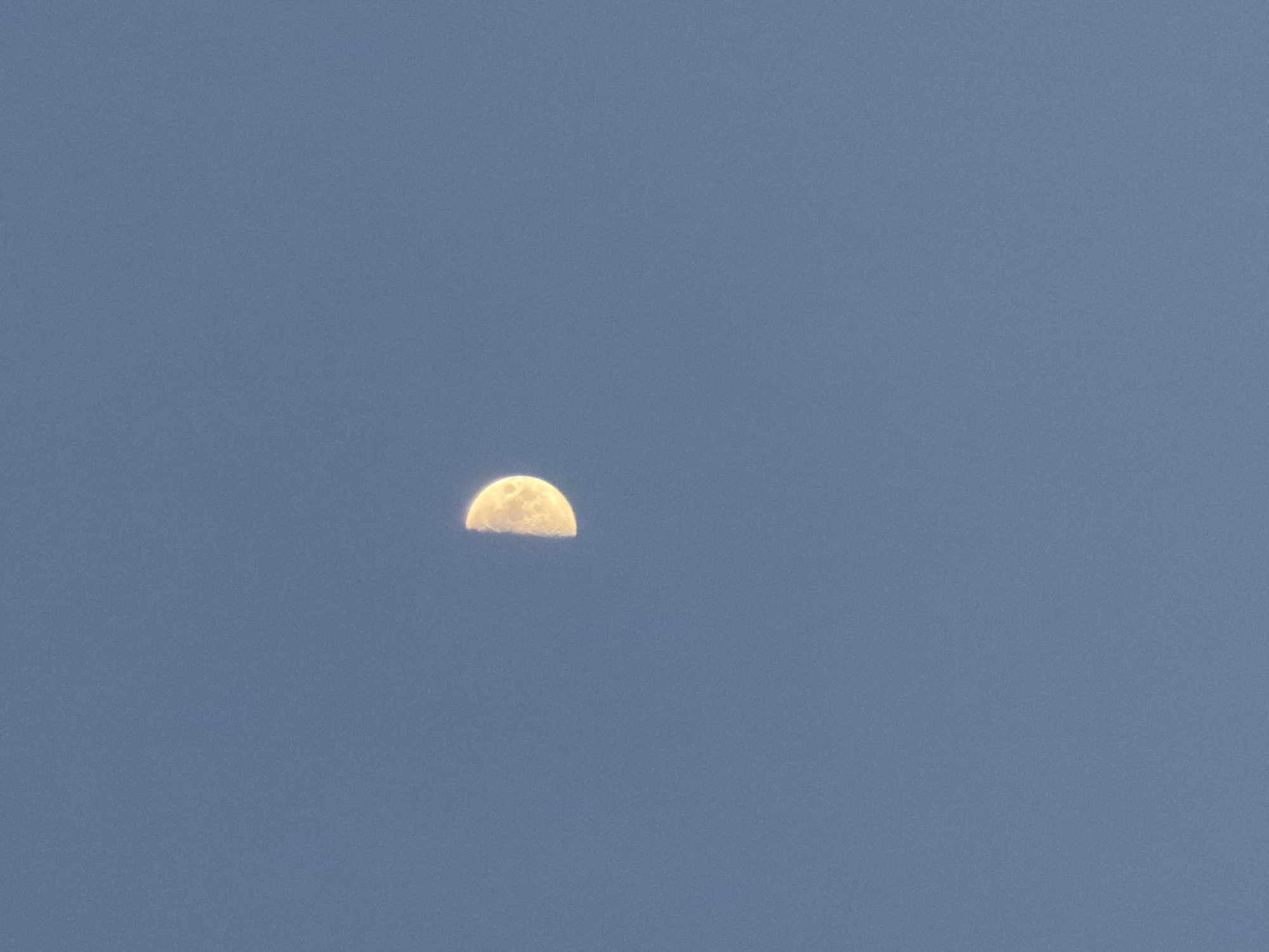 The image shows a half-moon against a blue sky. There are no people, other subjects, or objects in the frame besides the moon and the sky. No actions or interactions are depicted. The location is unknown, and there are no city identifiers present in the image.