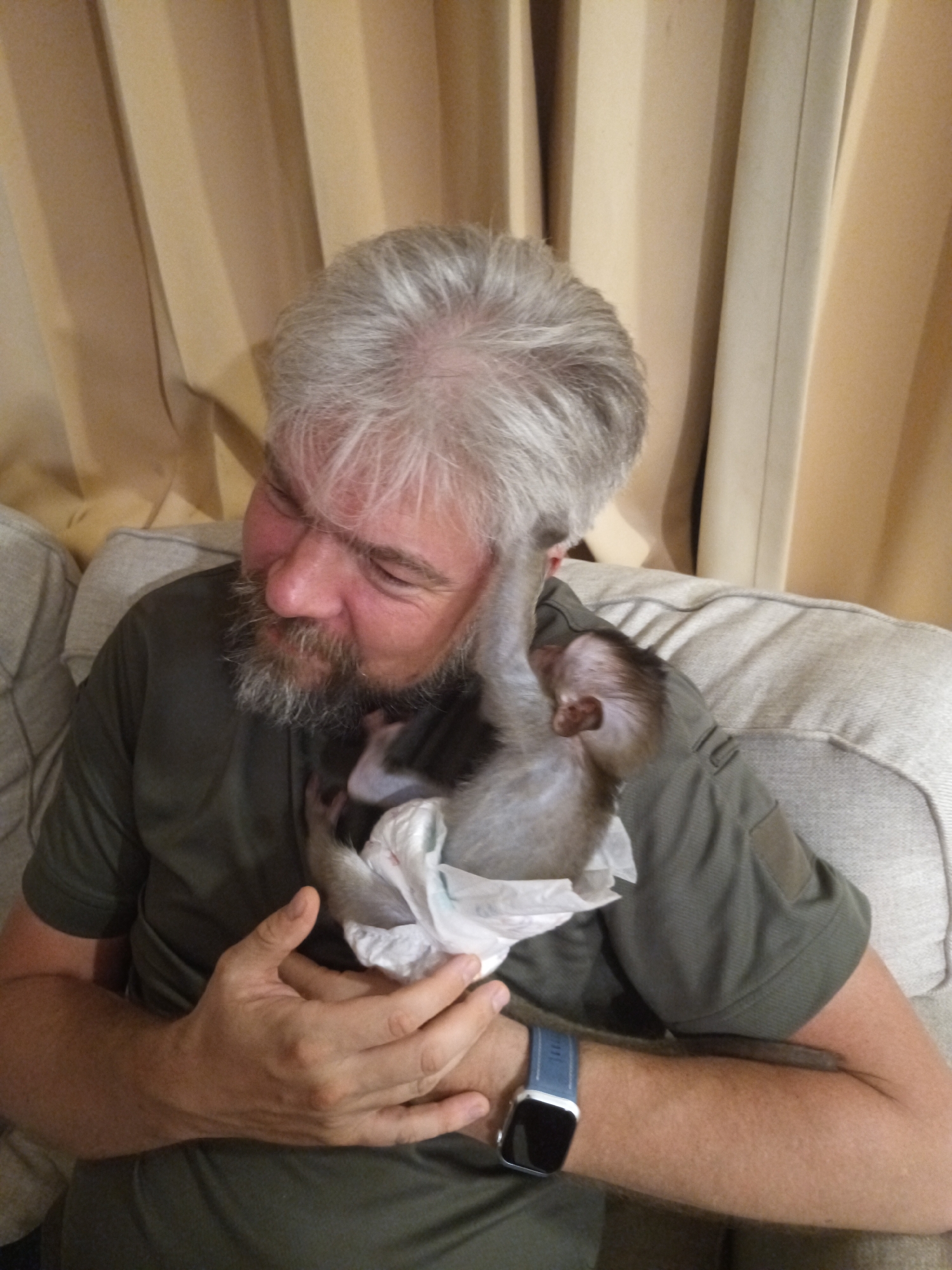 A medium shot depicts a gray-haired man seated on a beige sofa, cradling a small monkey wearing a white diaper. The man is wearing a short-sleeved green shirt and a blue smartwatch on his left wrist. He is looking down at the monkey with a soft expression. The monkey has its arm raised and resting on the man's head. In the background, there are vertically draped beige curtains. The location is Baan Wang Ta Kien, Thailand.
