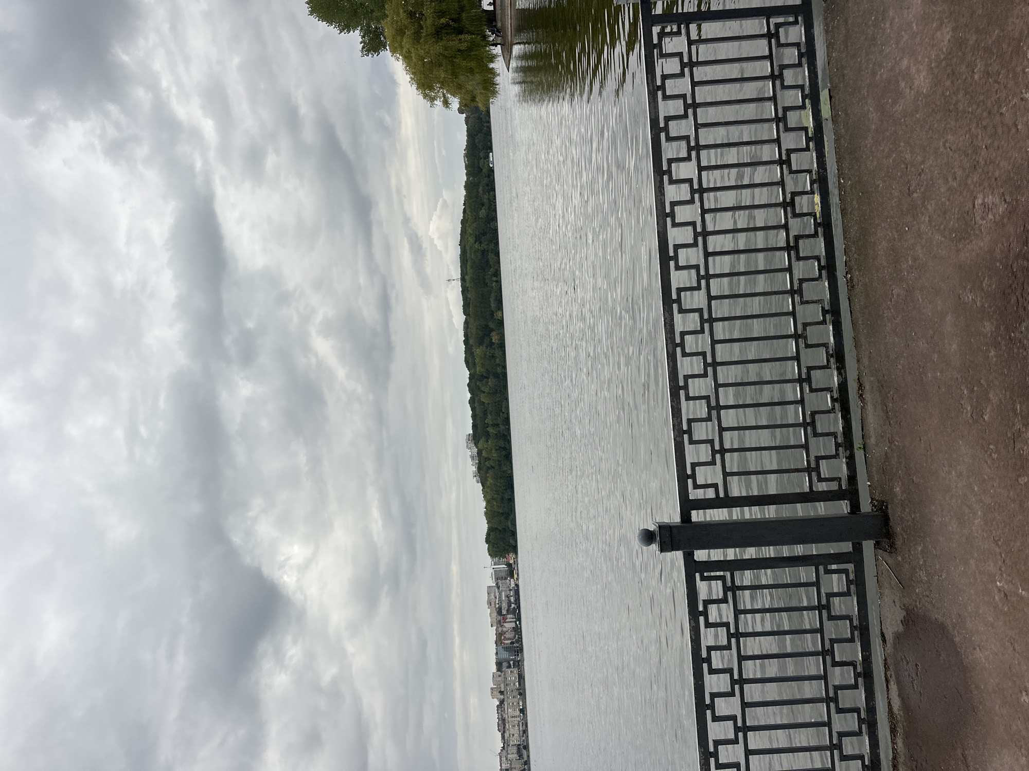 This is a wide-angle, eye-level shot of the Ternopil lake in Ternopil, Ukraine, on a cloudy day. In the foreground, a dark metal railing with a geometric pattern separates the viewer from the water. The railing has square openings and is supported by vertical posts, one of which has a spherical cap. A reddish-brown paved area is visible in front of the railing. The lake stretches across the middle ground, with calm water reflecting the overcast sky. On the far side of the lake, a line of green trees forms a natural border, behind which a cityscape with multiple buildings of varying heights is visible. The sky is filled with heavy, grey clouds. To the right of the frame, a large, green leafy tree overhangs the water, and a small group of people are seated or standing near its base. A small white boat is visible on the lake in the distance.