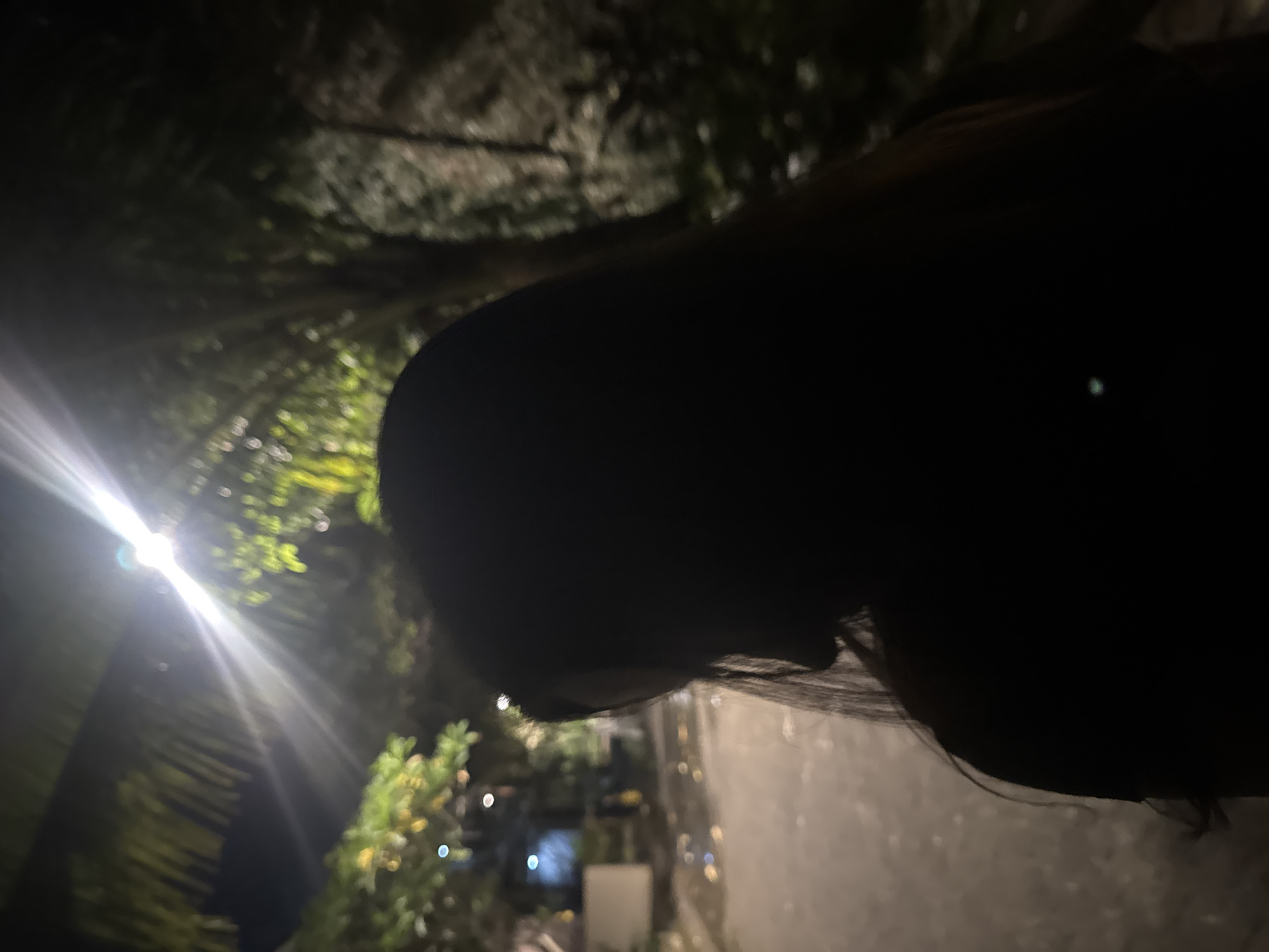 A person's silhouette is in the foreground, facing away from the camera and looking to the left. Their dark hair trails down their back. The background is dimly lit by a bright overhead light, casting rays and illuminating the surrounding foliage. In the middle ground, a wet, paved pathway or road is visible, reflecting the light. To the left of the pathway, there are some buildings or structures, also partially illuminated. The overall setting appears to be an outdoor area at night, possibly a street or pathway in Kuta Selatan, Indonesia, characterized by lush vegetation and artificial lighting.