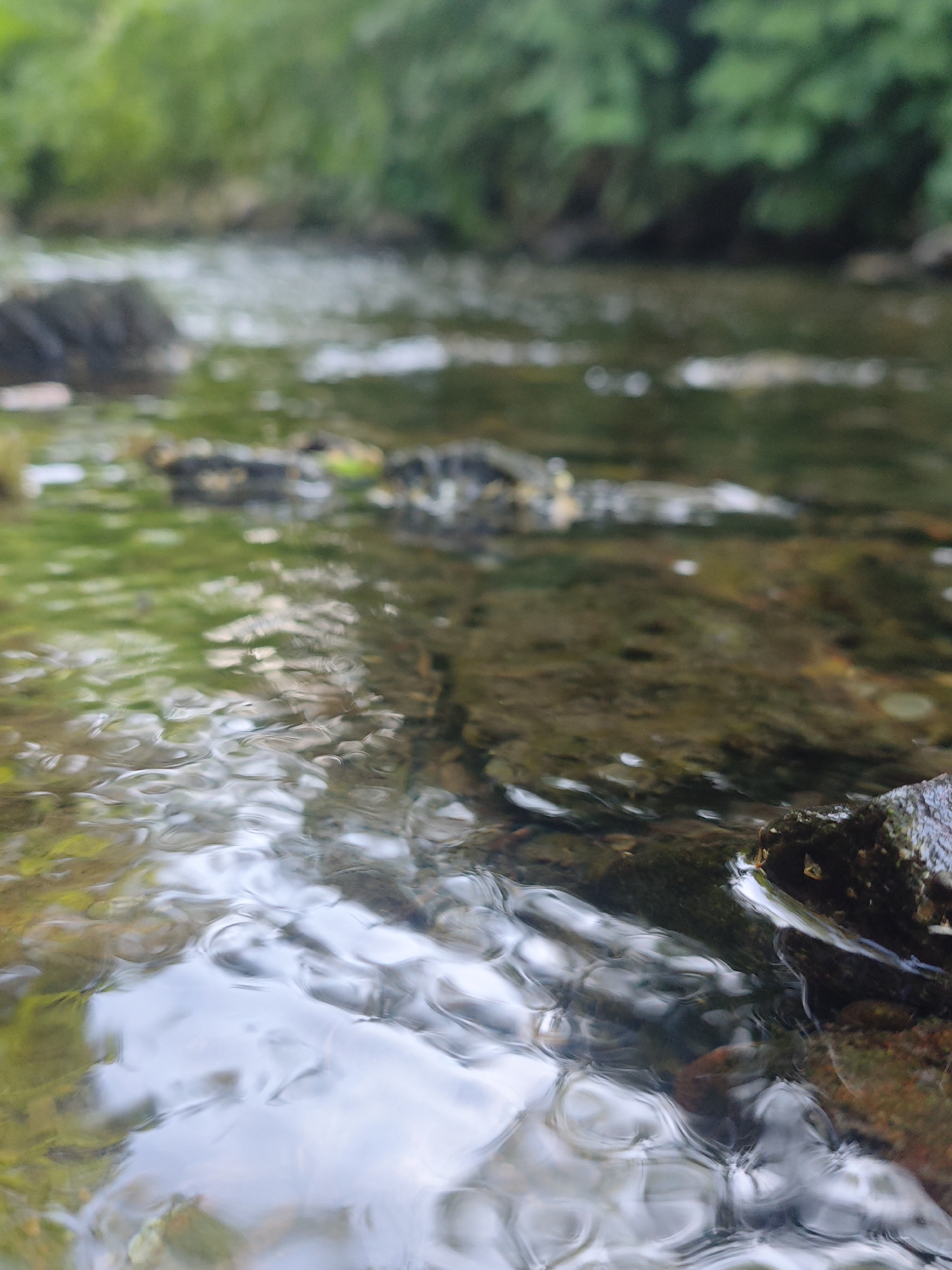 A low-angle shot focuses on the rippling surface of a clear, shallow stream. The water is transparent enough to reveal the submerged rocks and gravel bottom. Sunlight reflects off the undulating water, creating bright highlights and casting distorted shadows. A dark, moss-covered rock occupies the lower right corner of the frame, partially submerged in the water. The background is blurred, but hints of lush green foliage suggest a wooded or natural environment. The overall impression is one of peaceful, natural beauty. The image appears to have been taken outdoors during daylight hours, likely on a clear or partly cloudy day, as indicated by the bright reflections on the water. The location is identified as Lügde, Germany. There is no visible text in the image.
