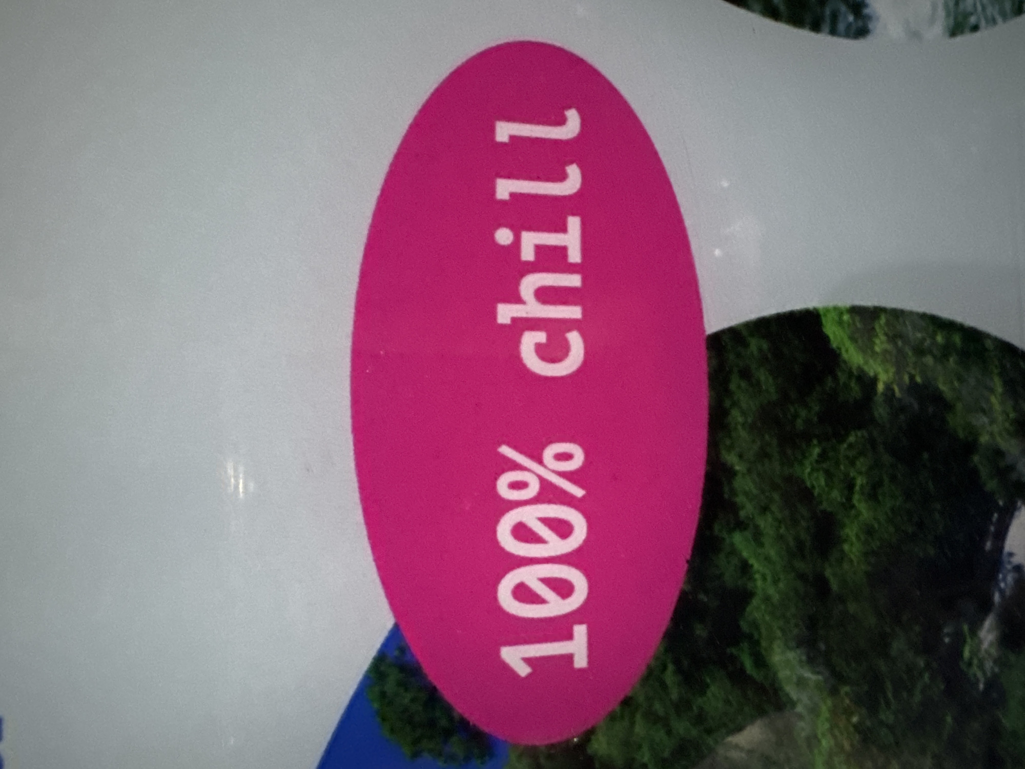 This media file is an image featuring a bright pink oval shape with white text on a light gray background. The oval is oriented vertically and appears to be a sticker or label. The text within the oval reads "100% chill." The background image, visible around the oval and in the lower right portion of the frame, shows lush green foliage, suggesting an outdoor setting. The lighting appears to be soft, possibly indicating daytime. The overall impression is that of a promotional item, perhaps for a product or a brand, emphasizing a relaxed or carefree feeling. Given the location context of Karon, Thailand, the foliage could be tropical plants. There are no people visible in the image, and the focus is entirely on the text and the oval shape.