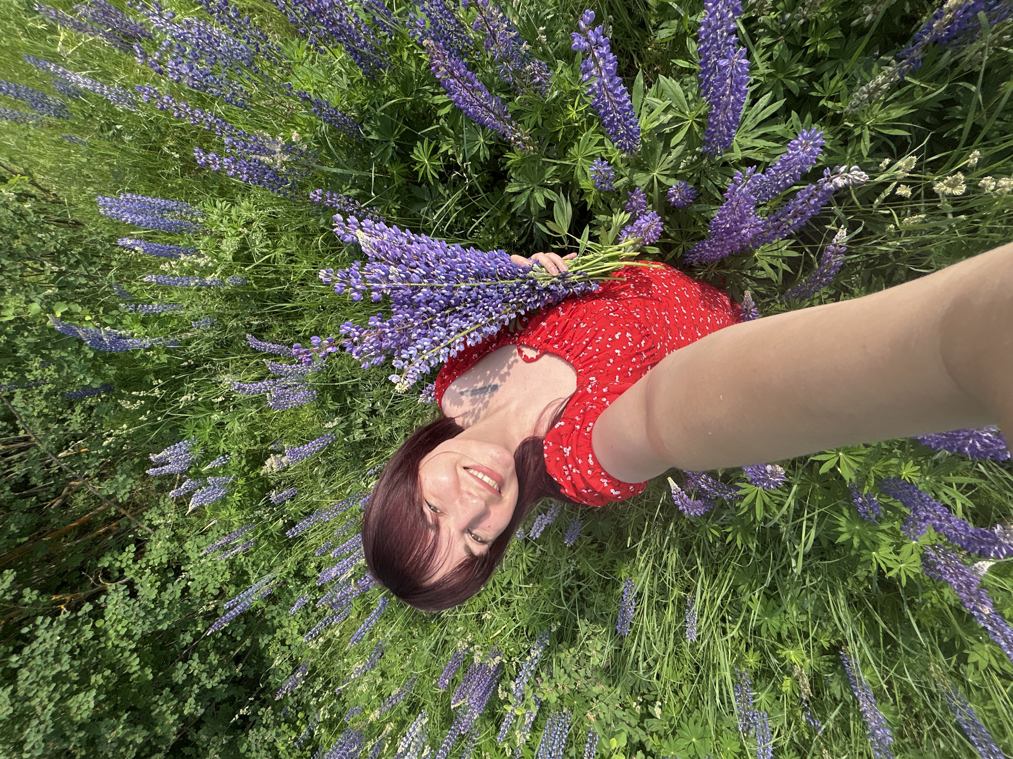 A young woman with dark red hair and bangs is captured in a selfie taken from a high angle, lying down in a field of blooming purple lupine flowers and lush green grass. She is wearing a red dress with white polka dots and has a bouquet of lupine flowers in her right hand. Her left arm is extended, holding the camera. The woman is smiling broadly, looking directly at the camera. The environment is a natural landscape, likely a field or meadow. The image appears to have been taken in sunlight, illuminating the scene and casting subtle shadows. The location is specified as Гаревая, Russia.