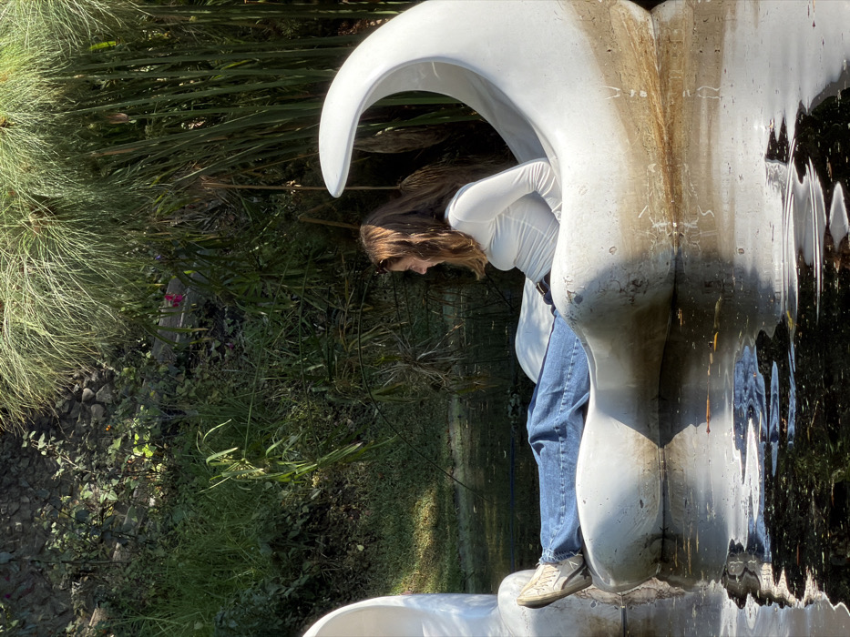A woman with long brown hair is leaning over the edge of a white, curving structure near a pond or body of water. The structure appears to be a decorative fountain or sculpture, reflecting in the water. The woman is wearing a white long-sleeved shirt, blue jeans, and tan sneakers. Behind her is an area of lush green vegetation, including tall grasses and shrubbery. The image is taken in natural light, creating shadows and highlights on the scene.